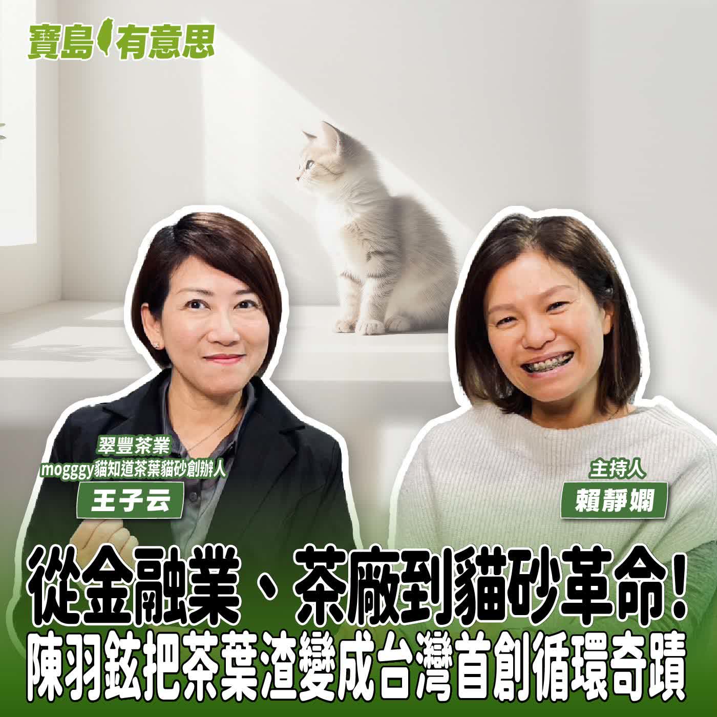 【寶島有意思】從金融業、茶廠到貓砂革命！陳羽鉉把茶葉渣變成台灣首創循環奇蹟│主持人賴靜嫻 ft.翠豐茶業、mogggy貓知道茶葉貓砂創辦人陳羽鉉