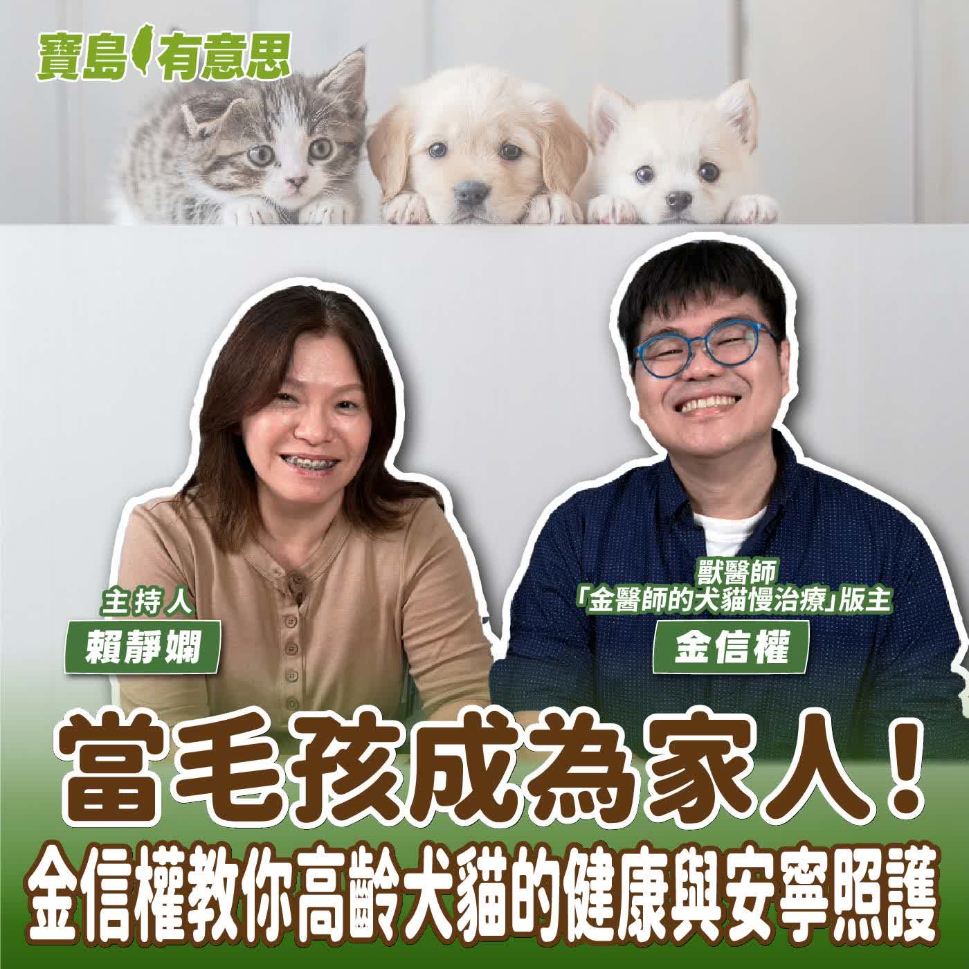 【寶島有意思】當毛孩成為家人！金信權教你高齡犬貓的健康與安寧照護│主持人賴靜嫻 ft.獸醫師、「金醫師的犬貓慢治療」版主金信權  episode artwork