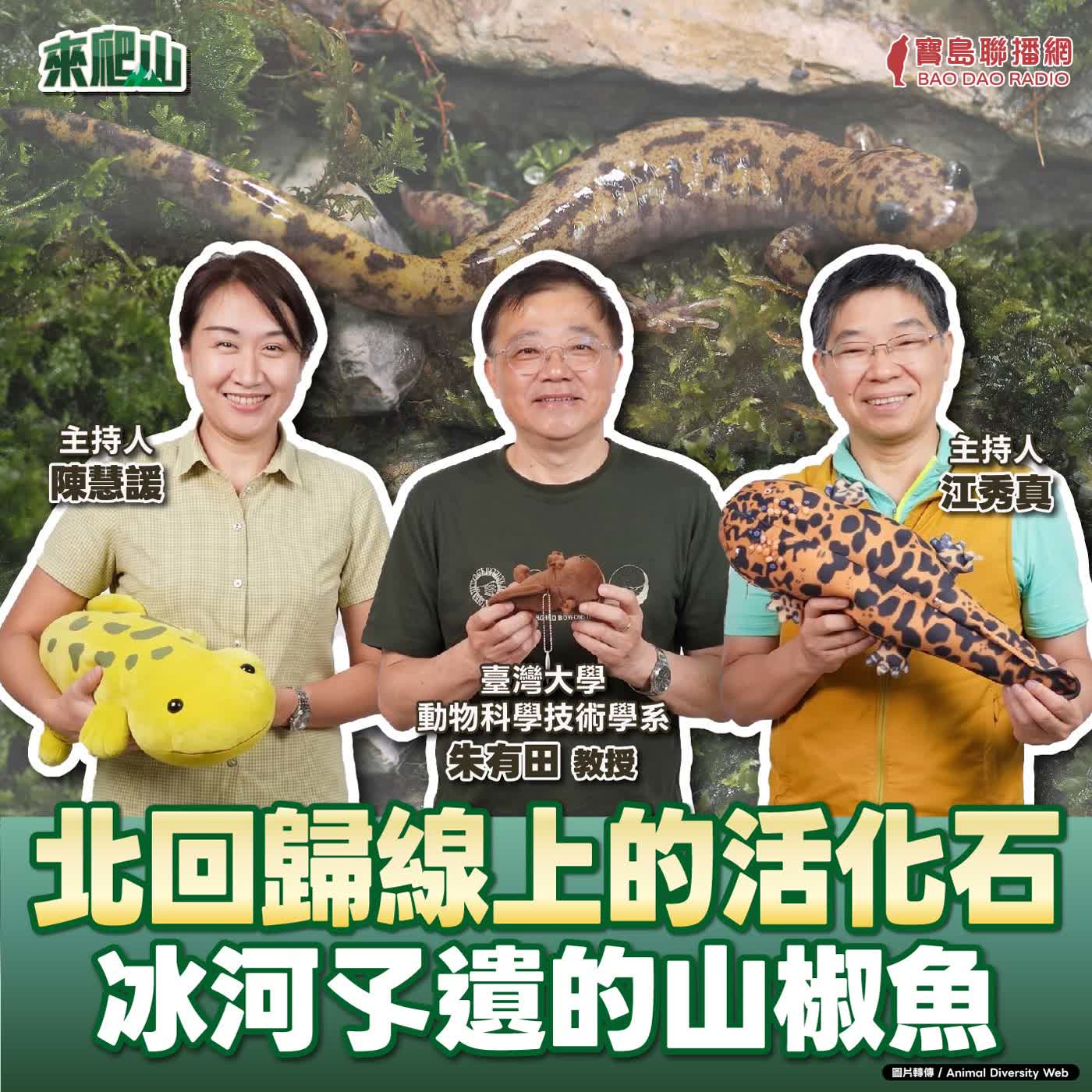 EP.273│北回歸線上的活化石-冰河孓遺的山椒魚  來賓：臺灣大學動物科學技術學系  朱有田教授 episode artwork