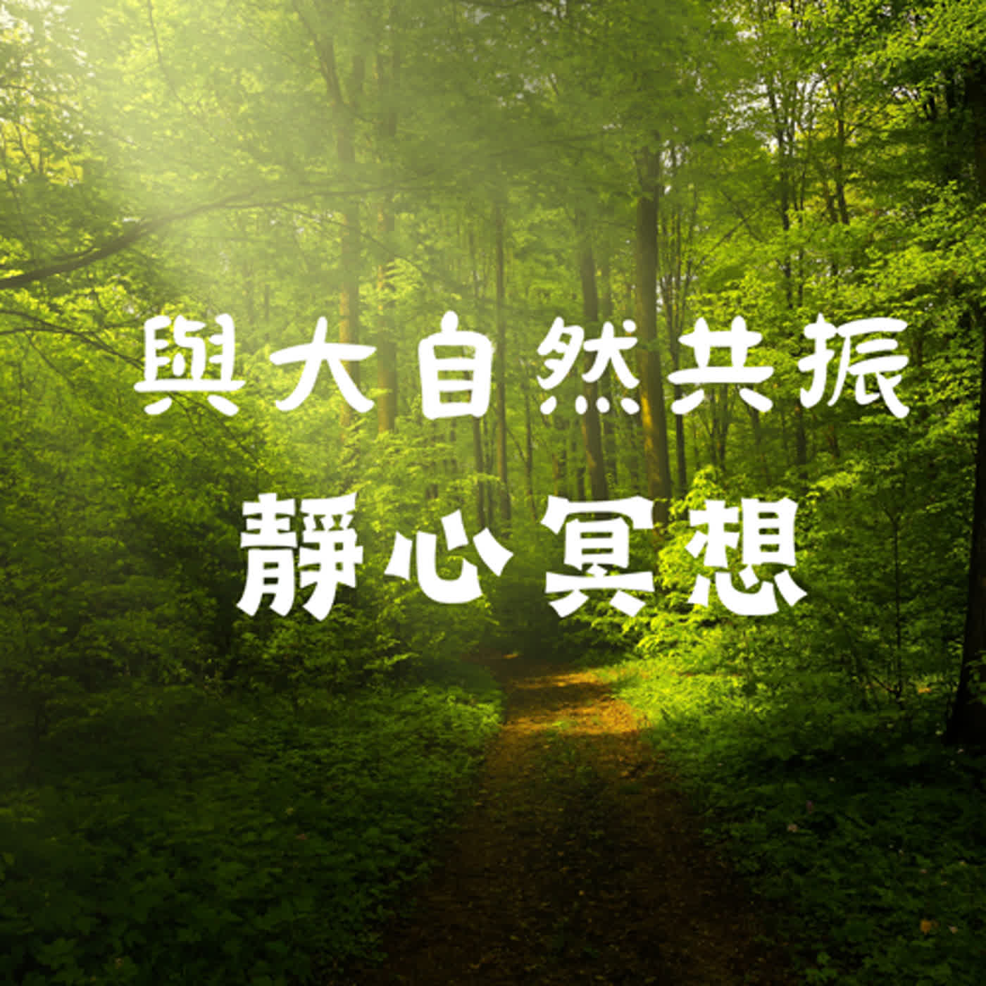 EP.03與大自然共振靜心冥想