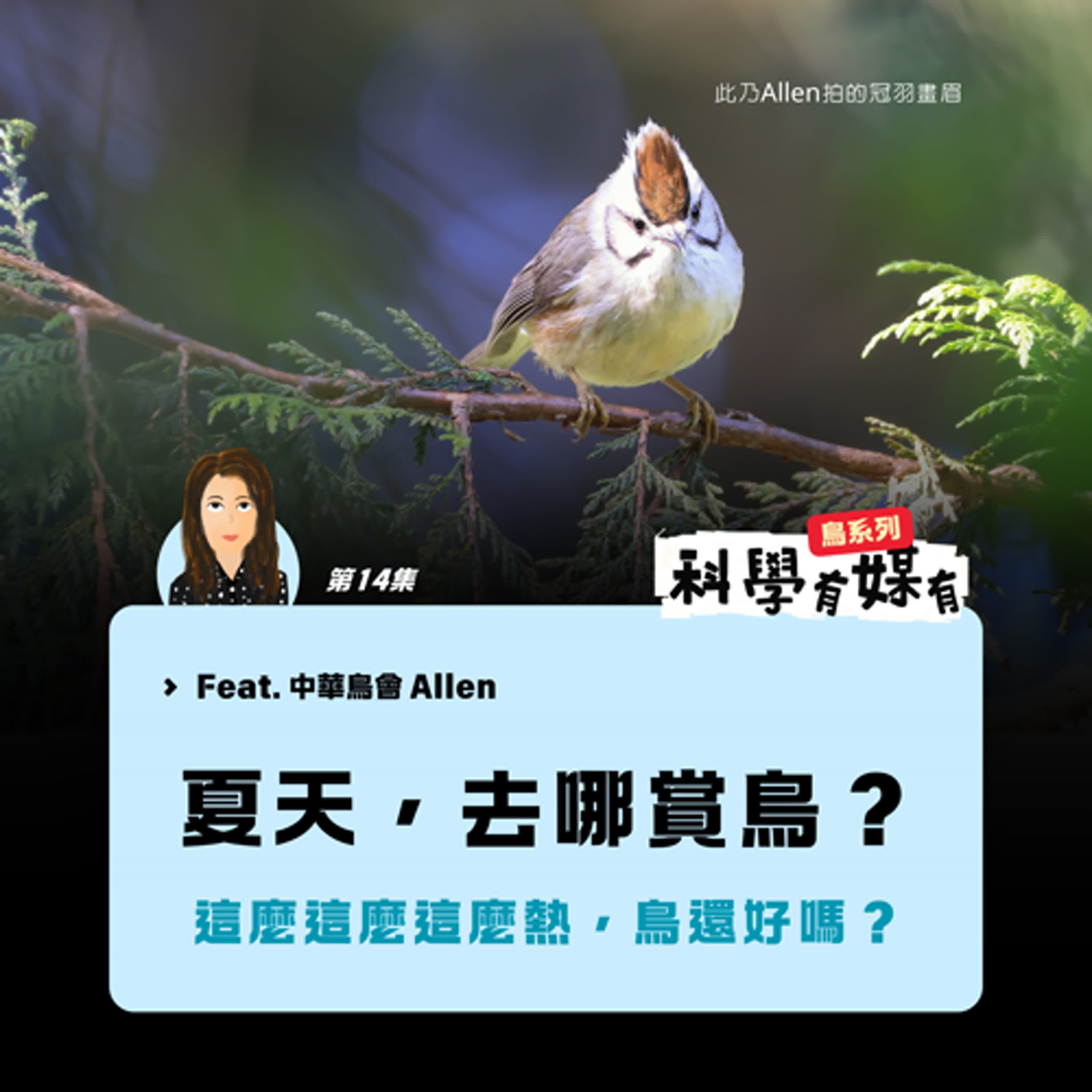 【有媒有鳥系列 14】夏天去哪賞鳥？這麼這麼這麼熱，鳥還好嗎？（feat. 中華鳥會秘書長 Allen）