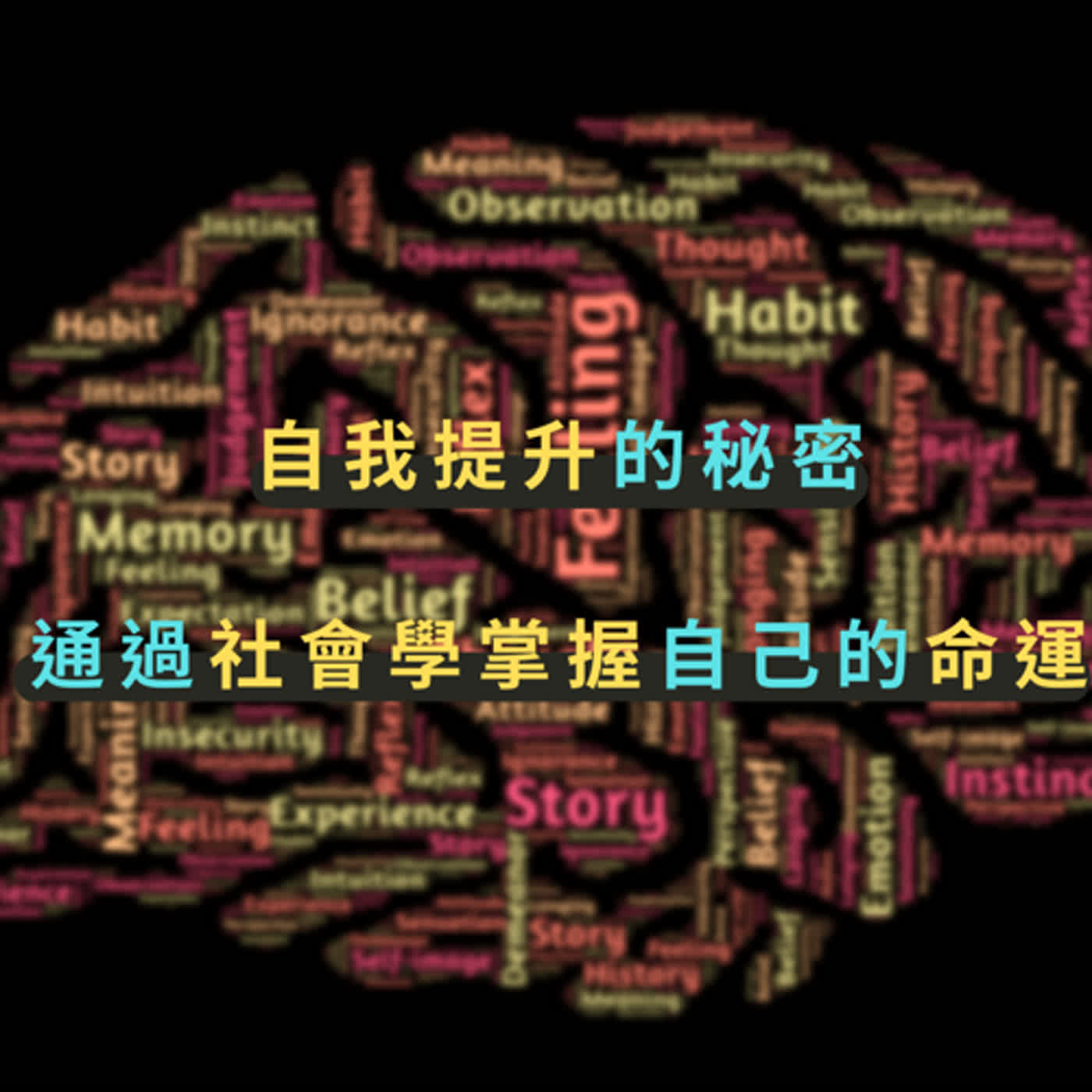EP7. 自我提升的秘密：通過社會學掌握自己的命運 episode artwork