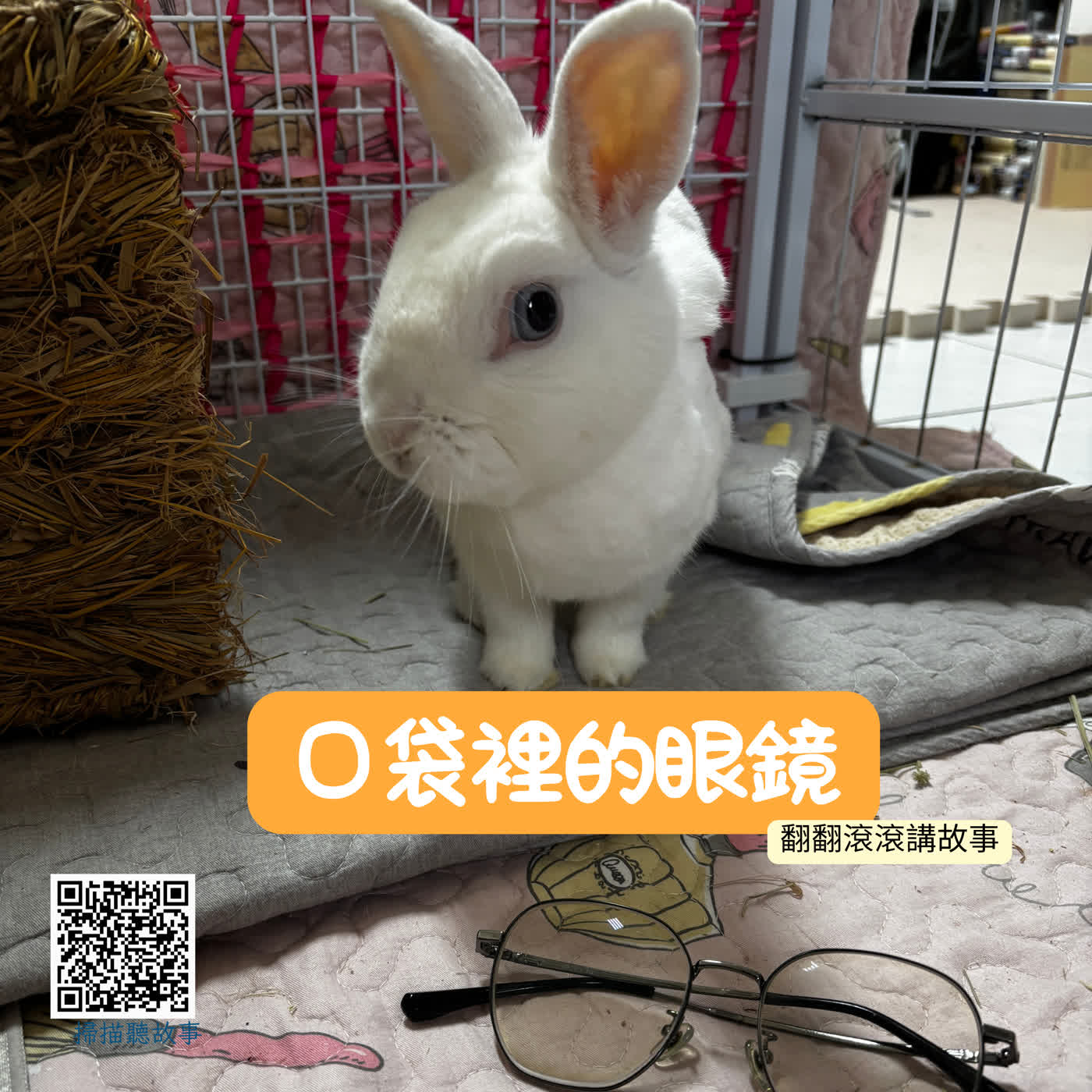 口袋裡的眼鏡