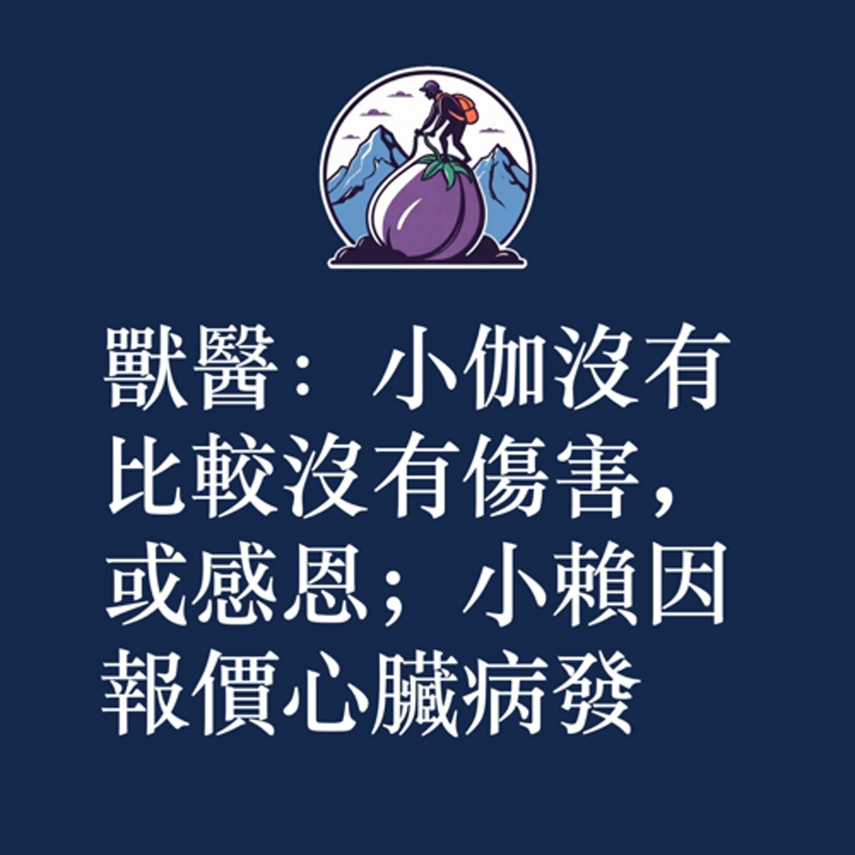 ep31｜S2｜獸醫：小伽沒有比較沒有傷害，或感恩；小賴因報價心臟病發