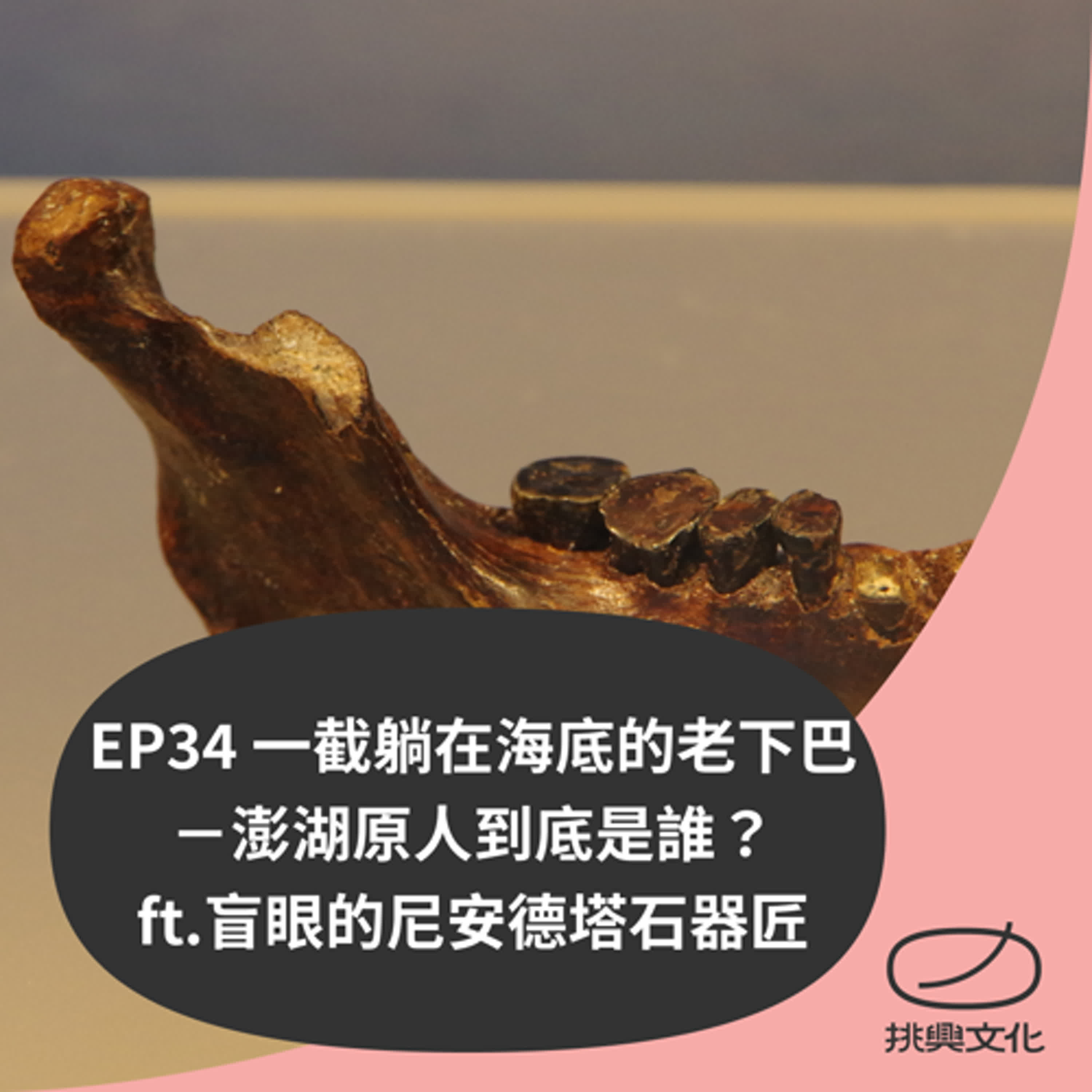 EP34 一截躺在海底的老下巴 －澎湖原人到底是誰？ ft.盲眼的尼安德塔石器匠
