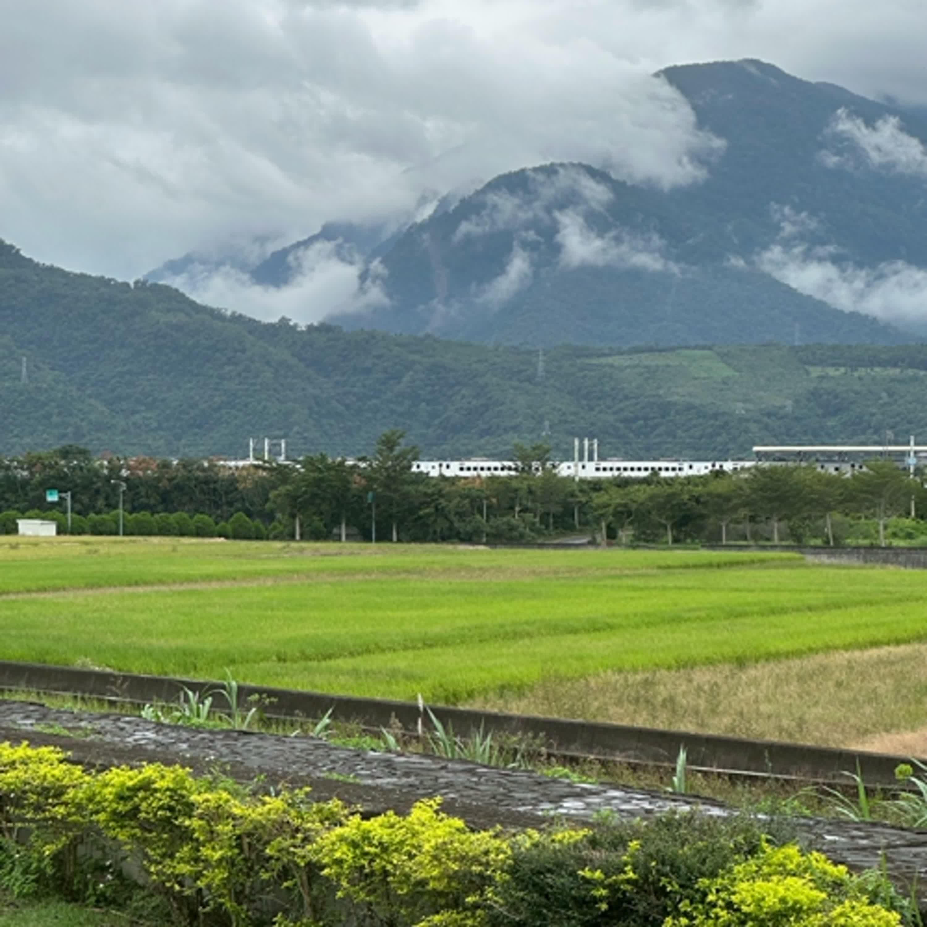 EP64板橋隔壁到土城、台北一個大稻埕、彰化原名半線街(囝仔歌) 叫雞叫狗不如自己走(台語俗諺) episode artwork