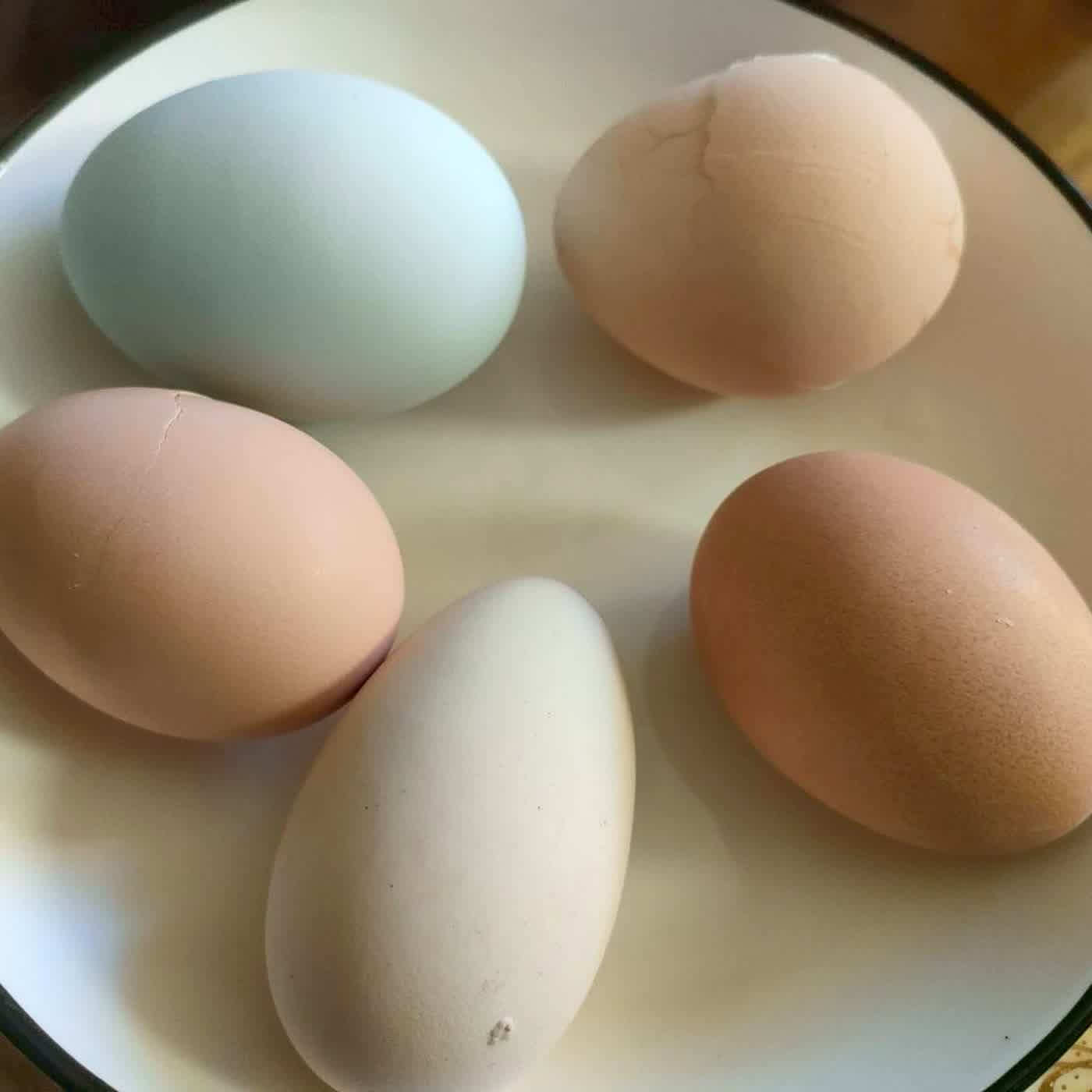 EP73大一點再大一點 撕掉中間二小姐 水落石出了(猜謎)  娶某無閒一工 娶細姨無閒一世人(俗諺)