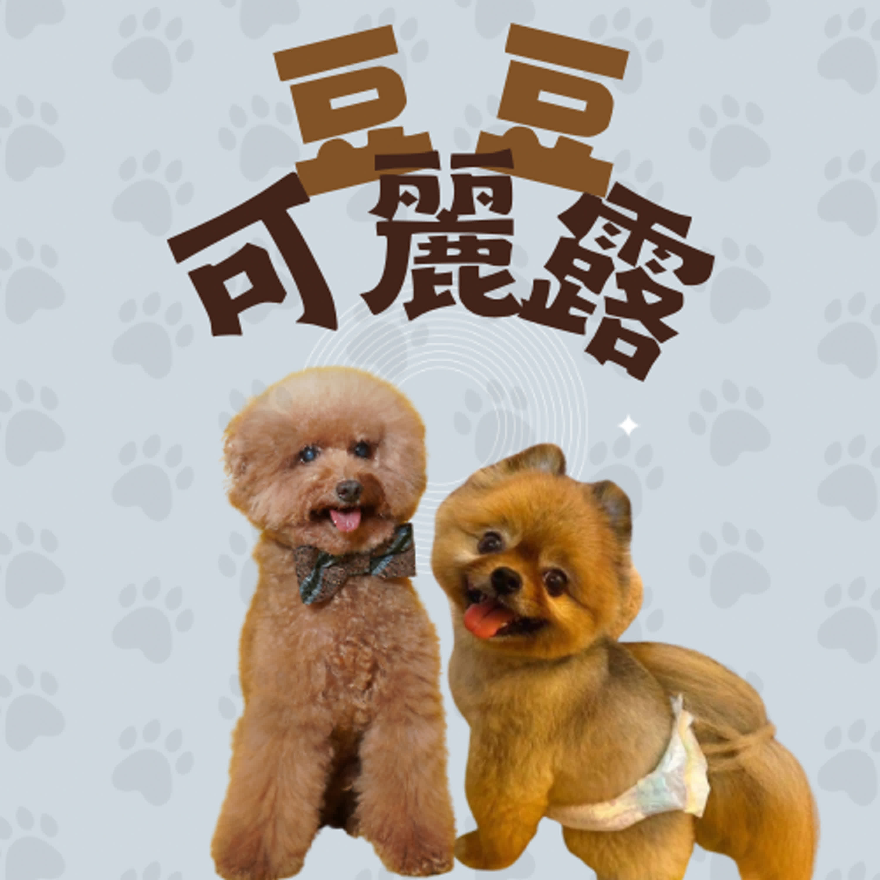 豆豆可麗露開台前導預告啦！ episode artwork