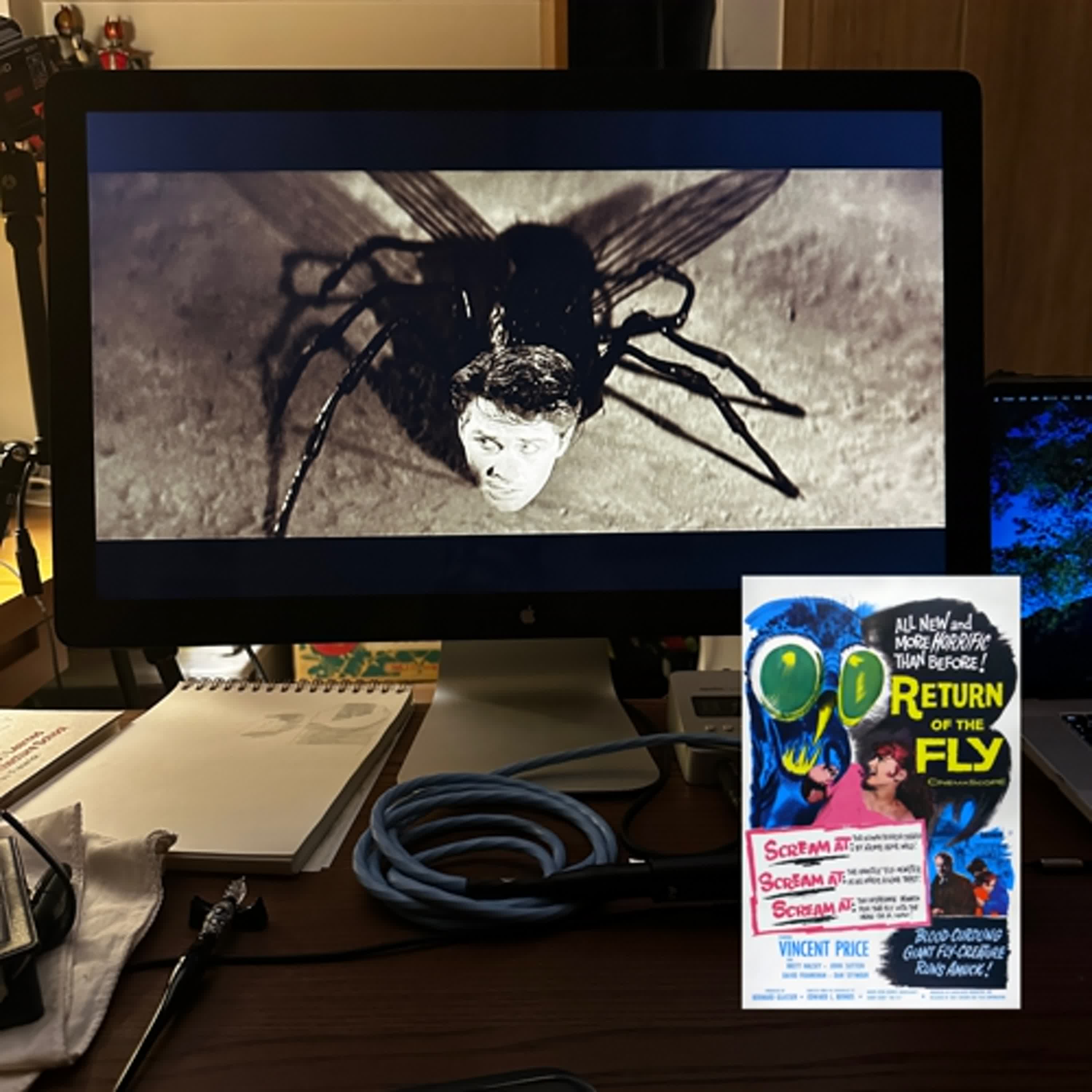 EP.41 Return of the FLY episode artwork