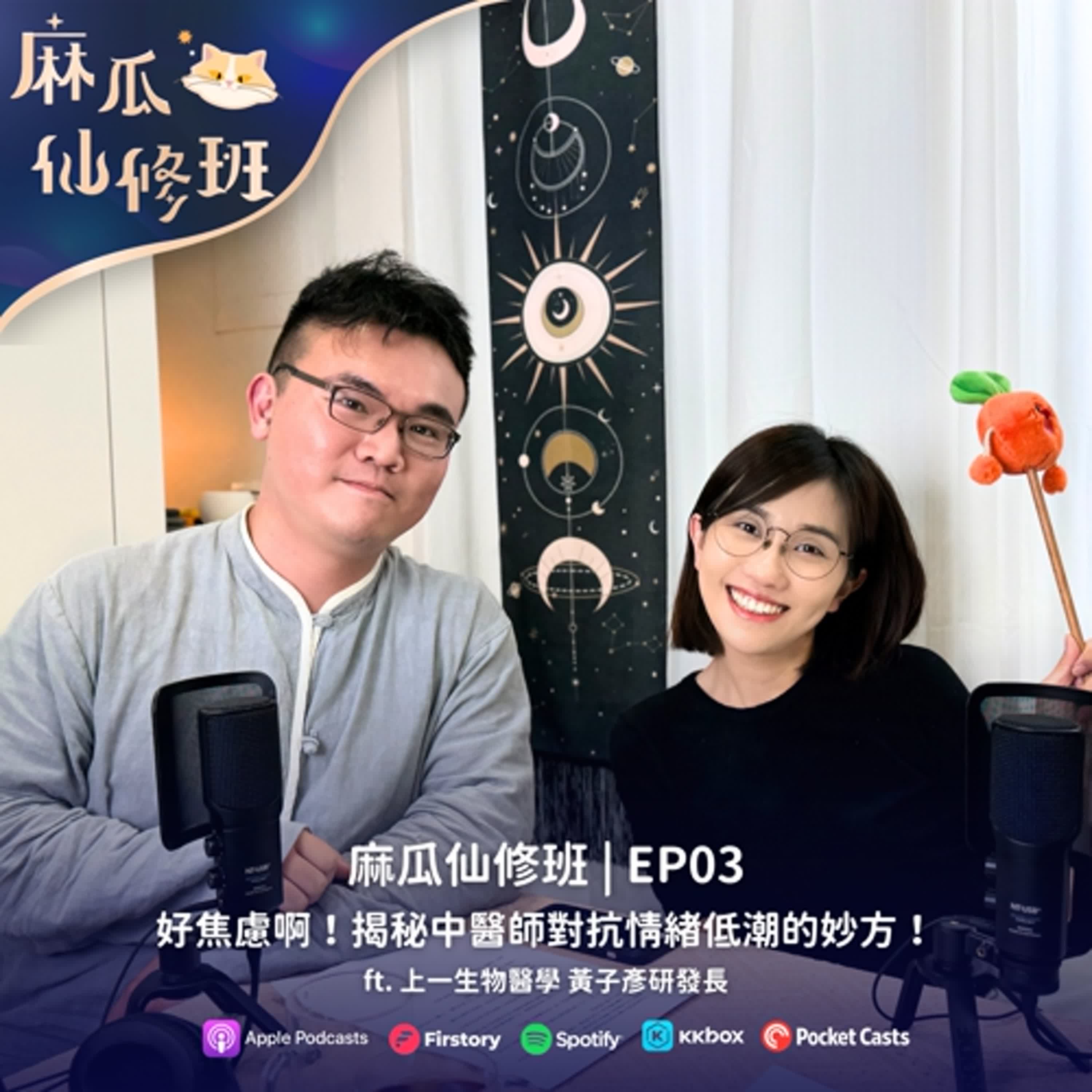 Ep03.壓力好大好焦慮啊～揭秘中醫師對抗情緒低潮的食療妙方！ft. 上一生物醫學 黃子彥研發長 episode artwork