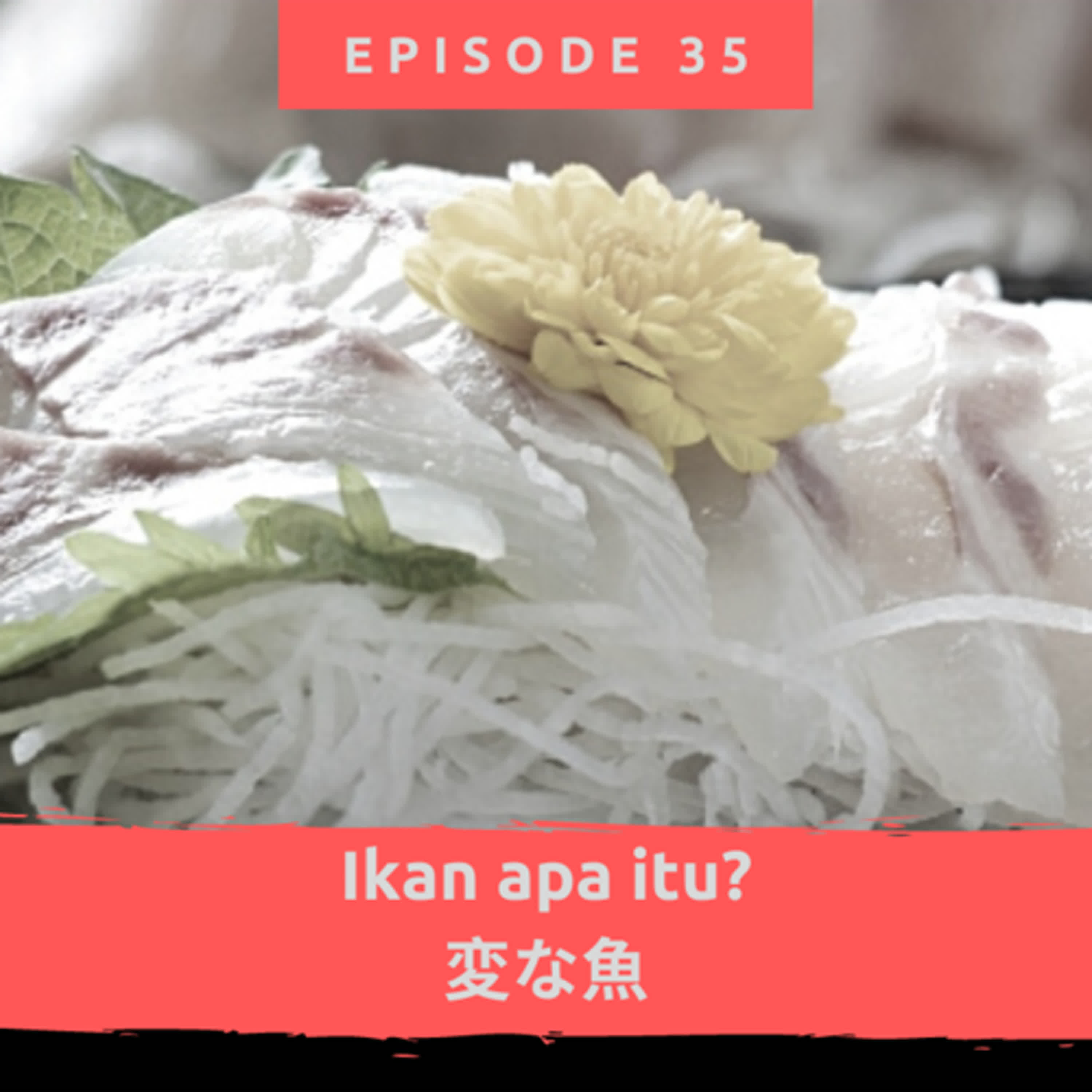 Ikan apa itu? (変な魚） episode artwork