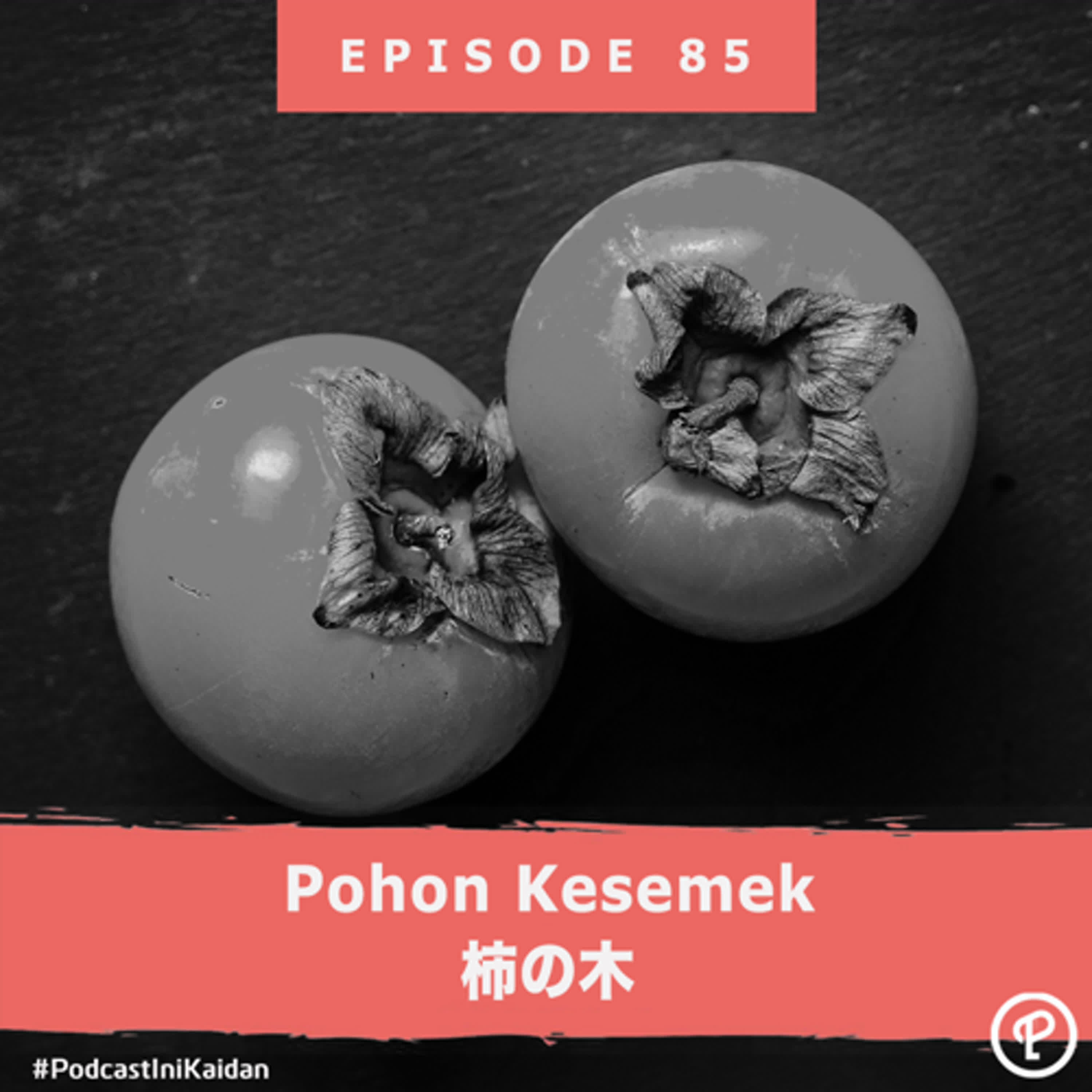 Pohon kesemek（柿の木） episode artwork