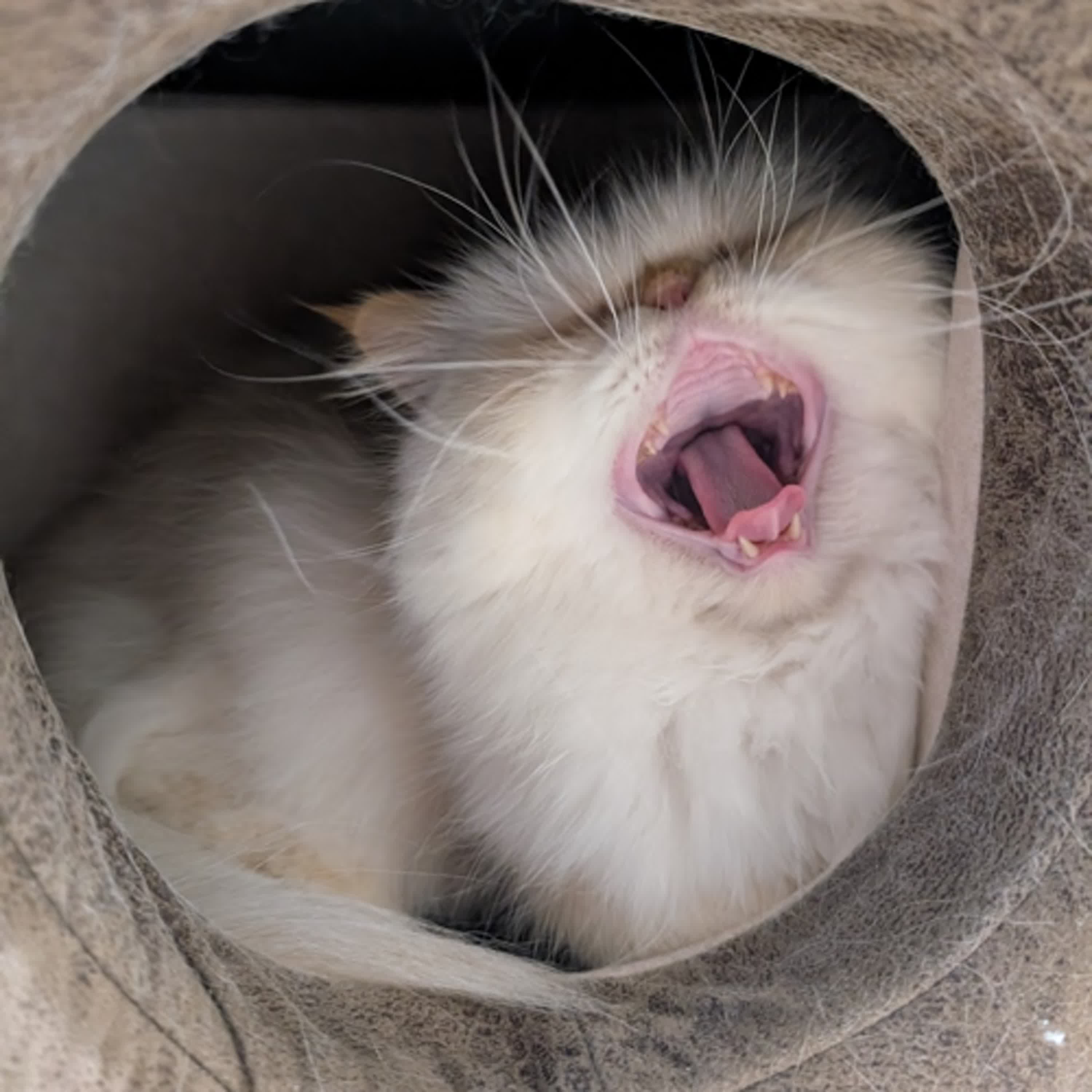 第二十集啦~~~開心開心~除了中間幾集我每集都開心....+0很紅阿