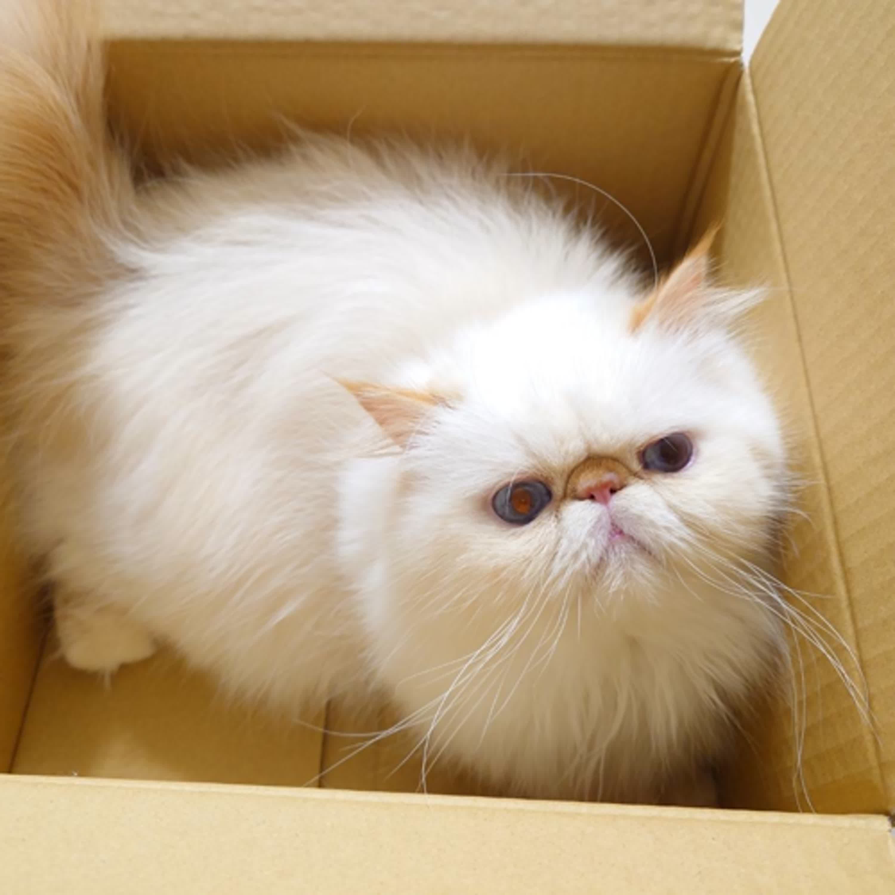 哈哈哈哈31了~~喔耶~~這集也是有跟上一些新聞，大家要注意自身身體健康阿