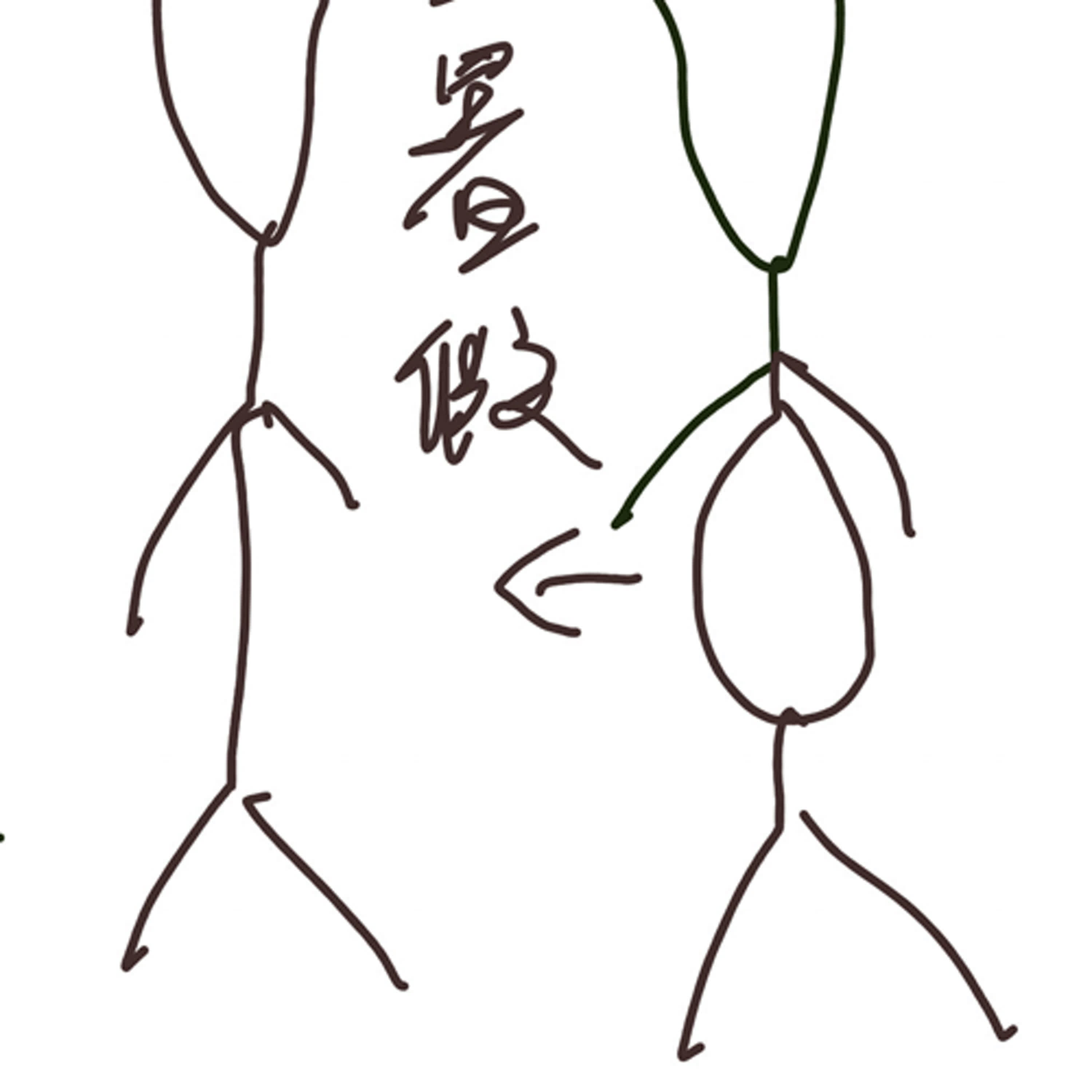 很快的又來到了第二集，讓胖兔董來聊聊一些減肥現象 episode artwork