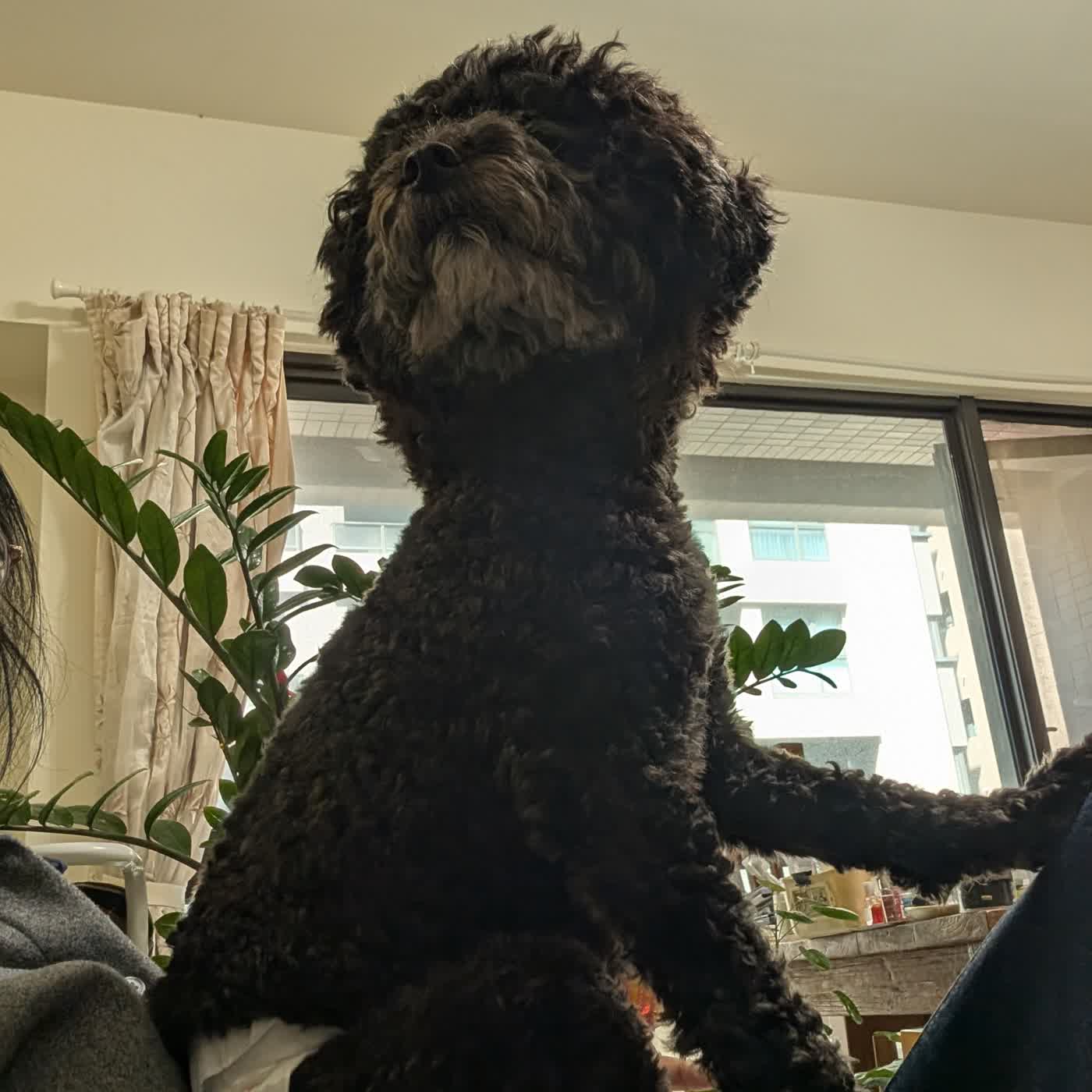 39了阿~~過了年都快清明了，大家新年快樂