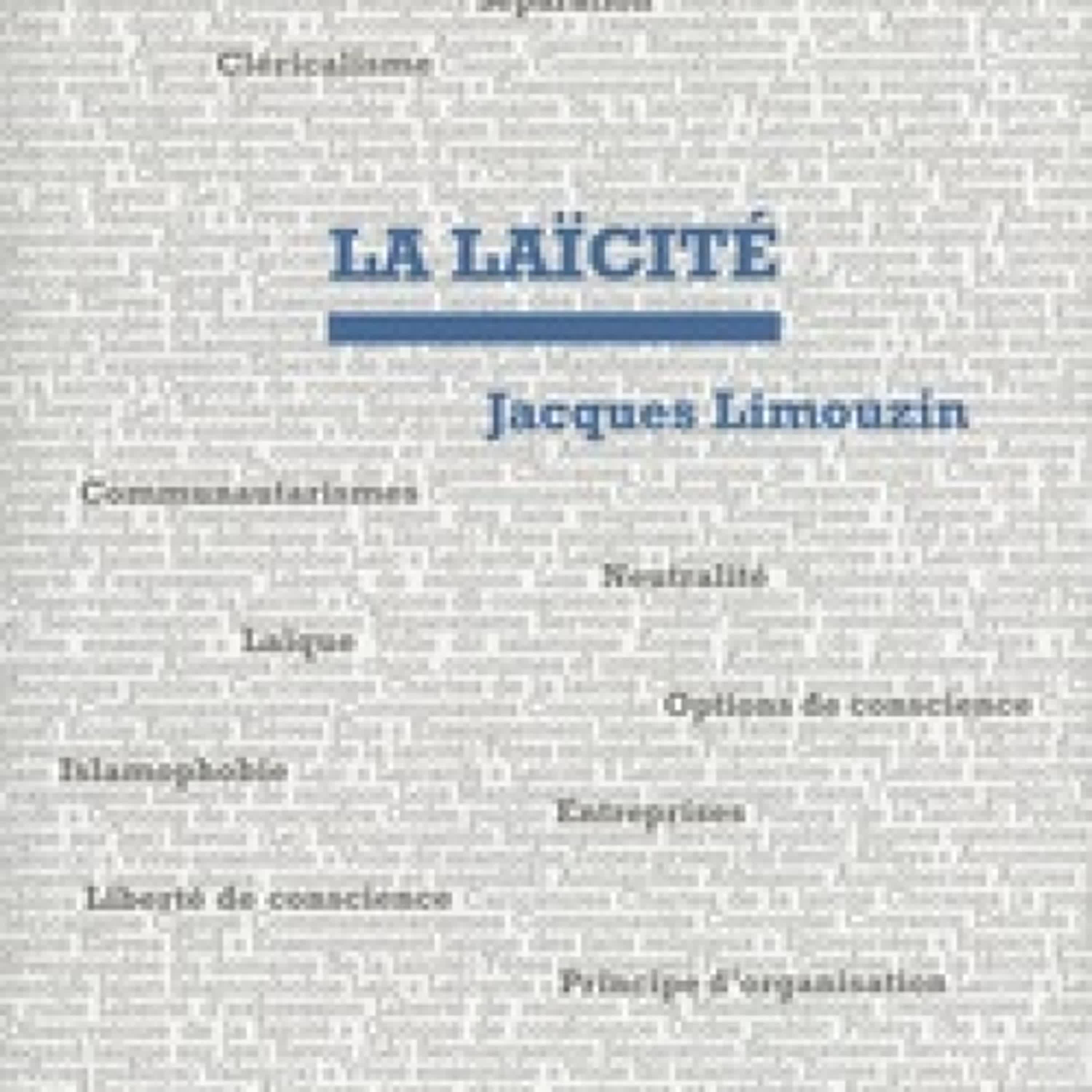 {téléchargement pdf} Les mots essentiels de la laïcité
