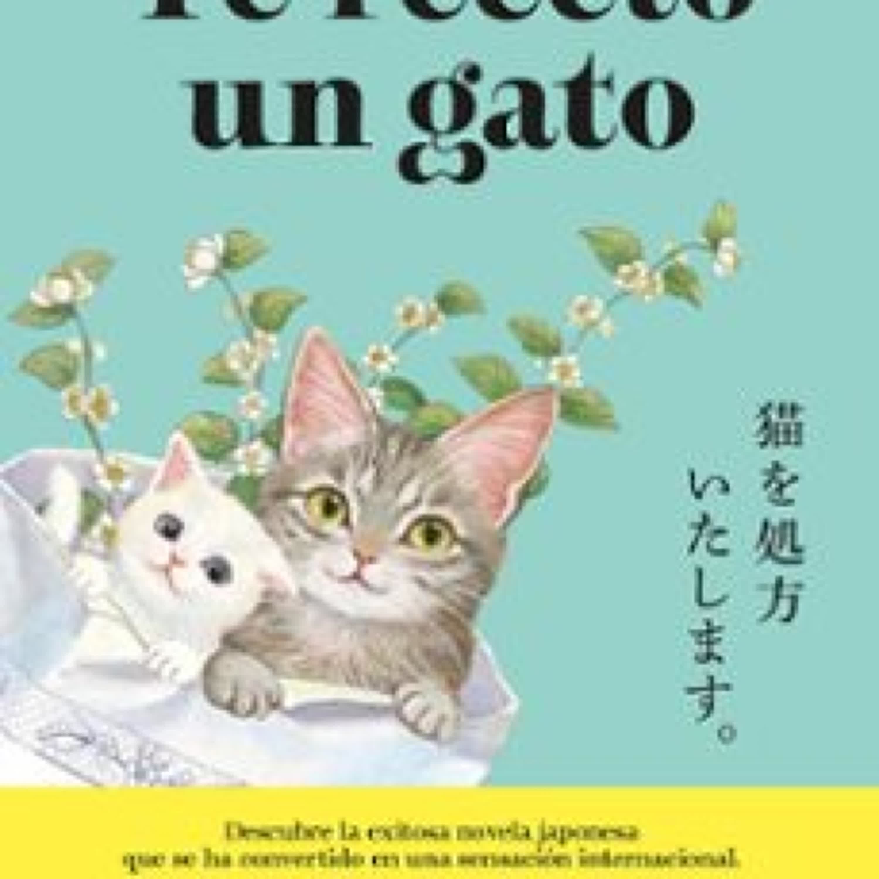 [Kindle] TE RECETO UN GATO descargar gratis