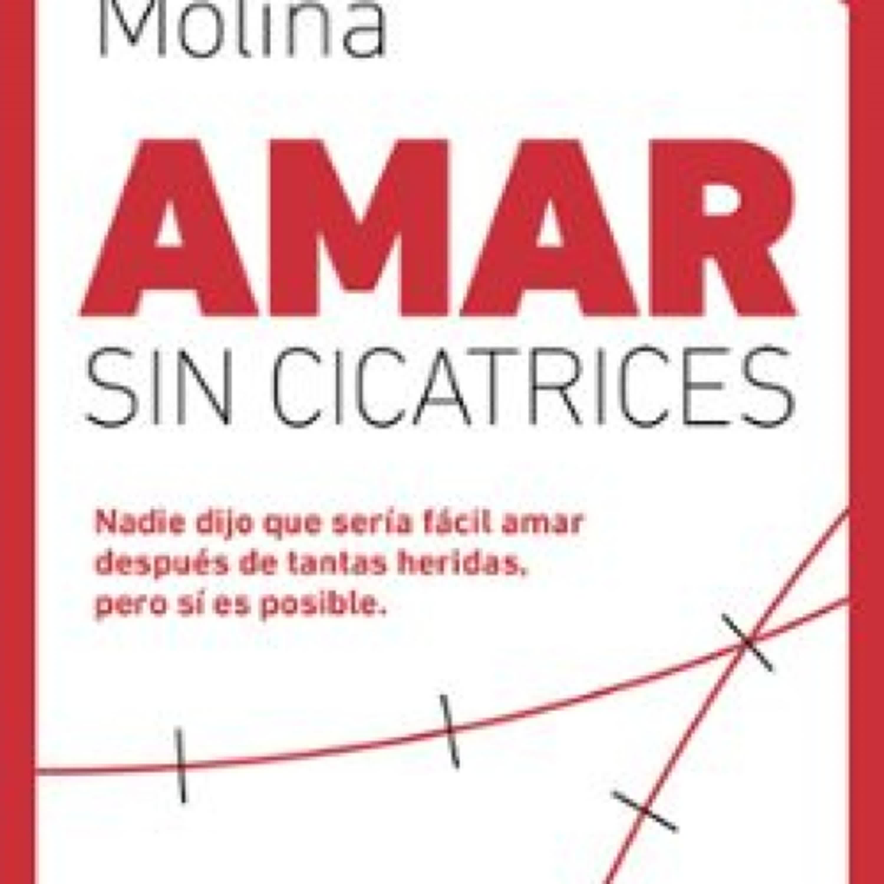 AMAR SIN CICATRICES leer el libro