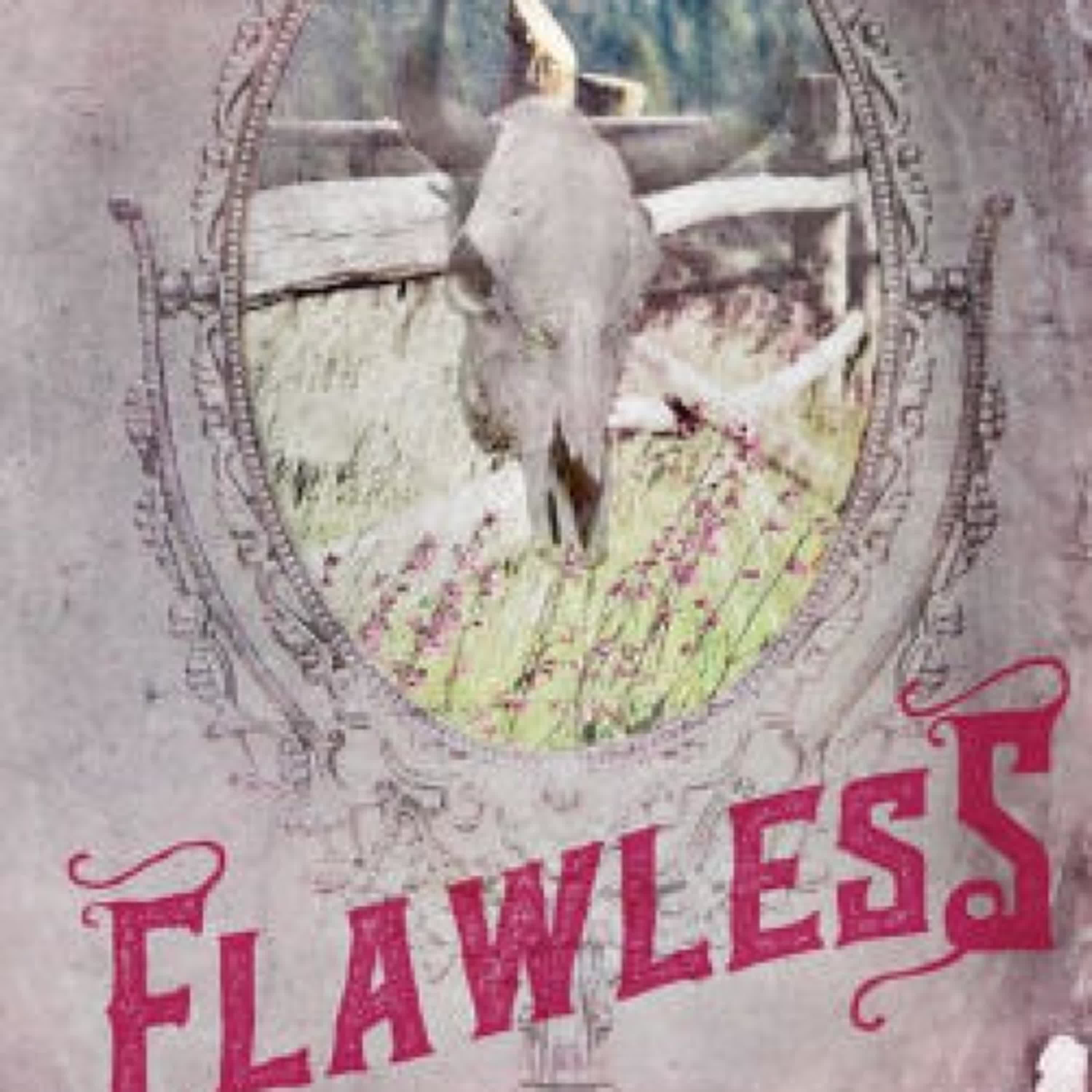 DOWNLOAD [PDF] {EPUB} Flawless (Special Edition) by Elsie Silver