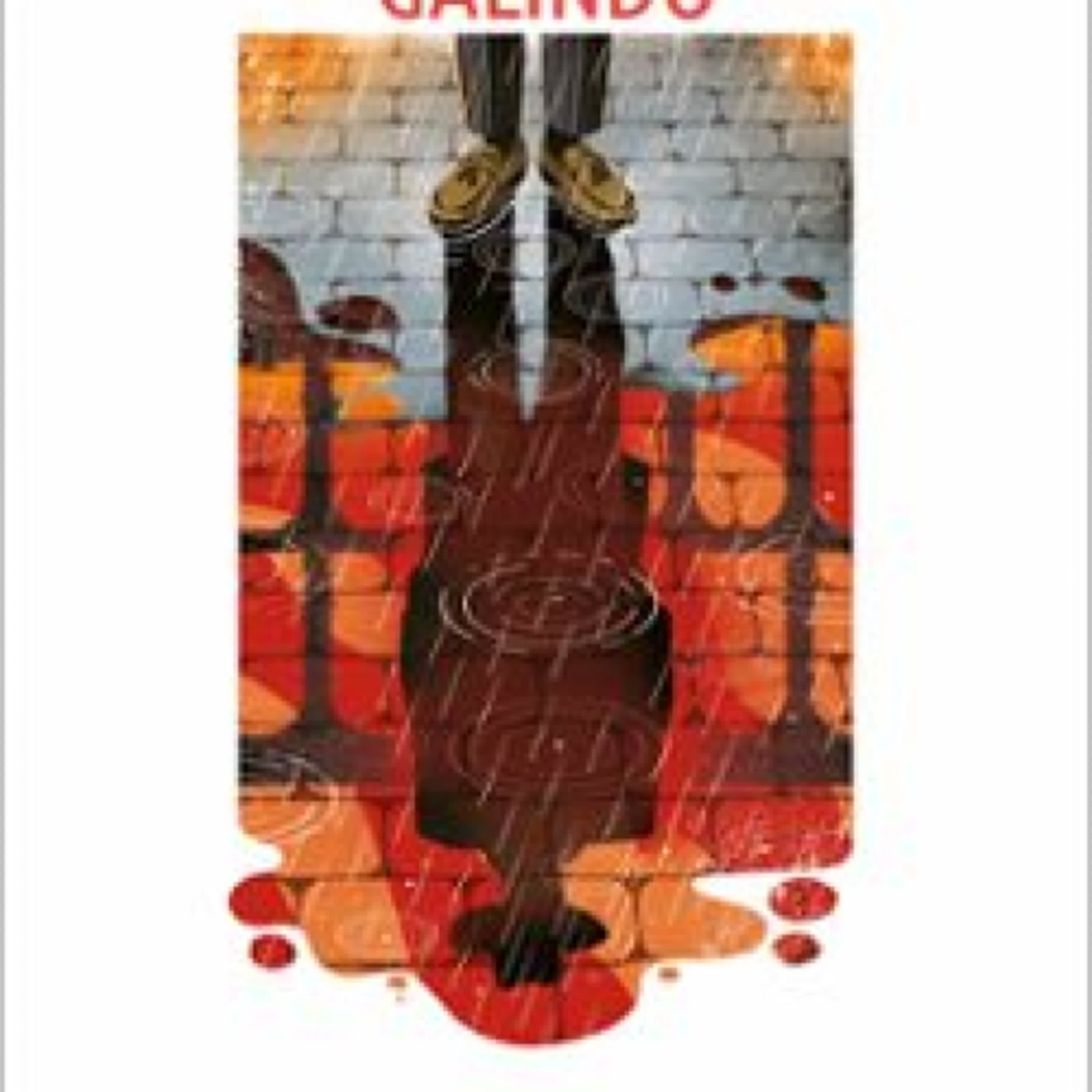 MUERTE PRIVADA leer epub JUAN CARLOS GALINDO