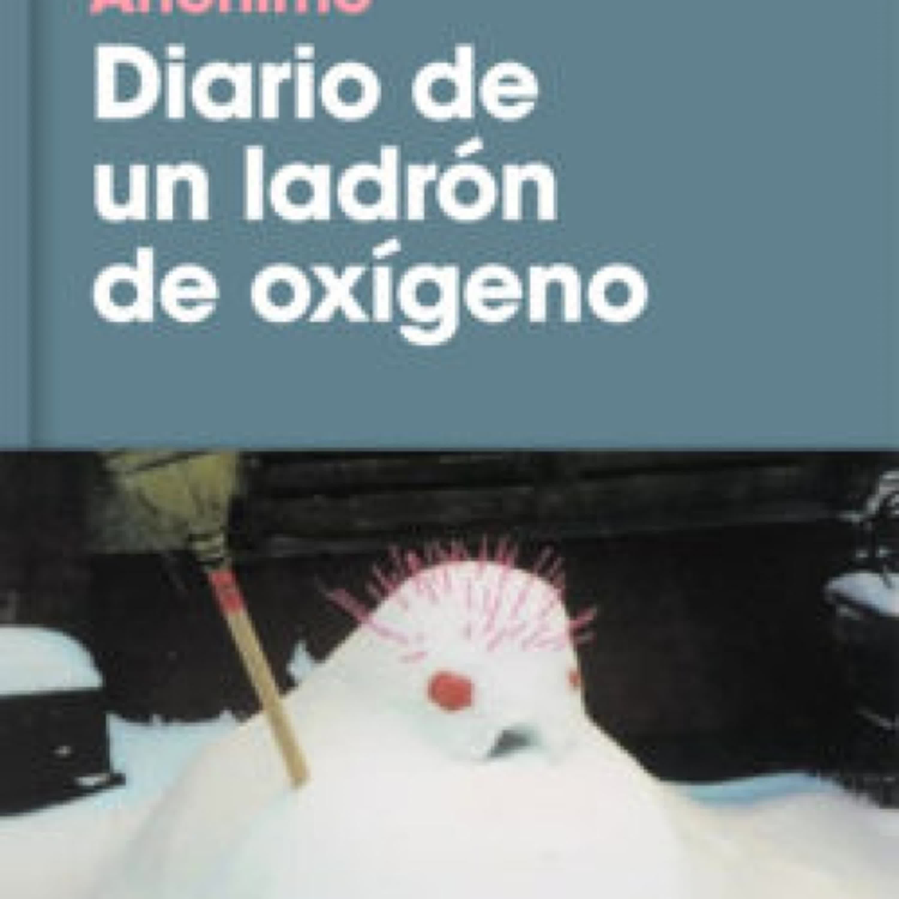 DIARIO DE UN LADRON DE OXIGENO leer el libro pdf