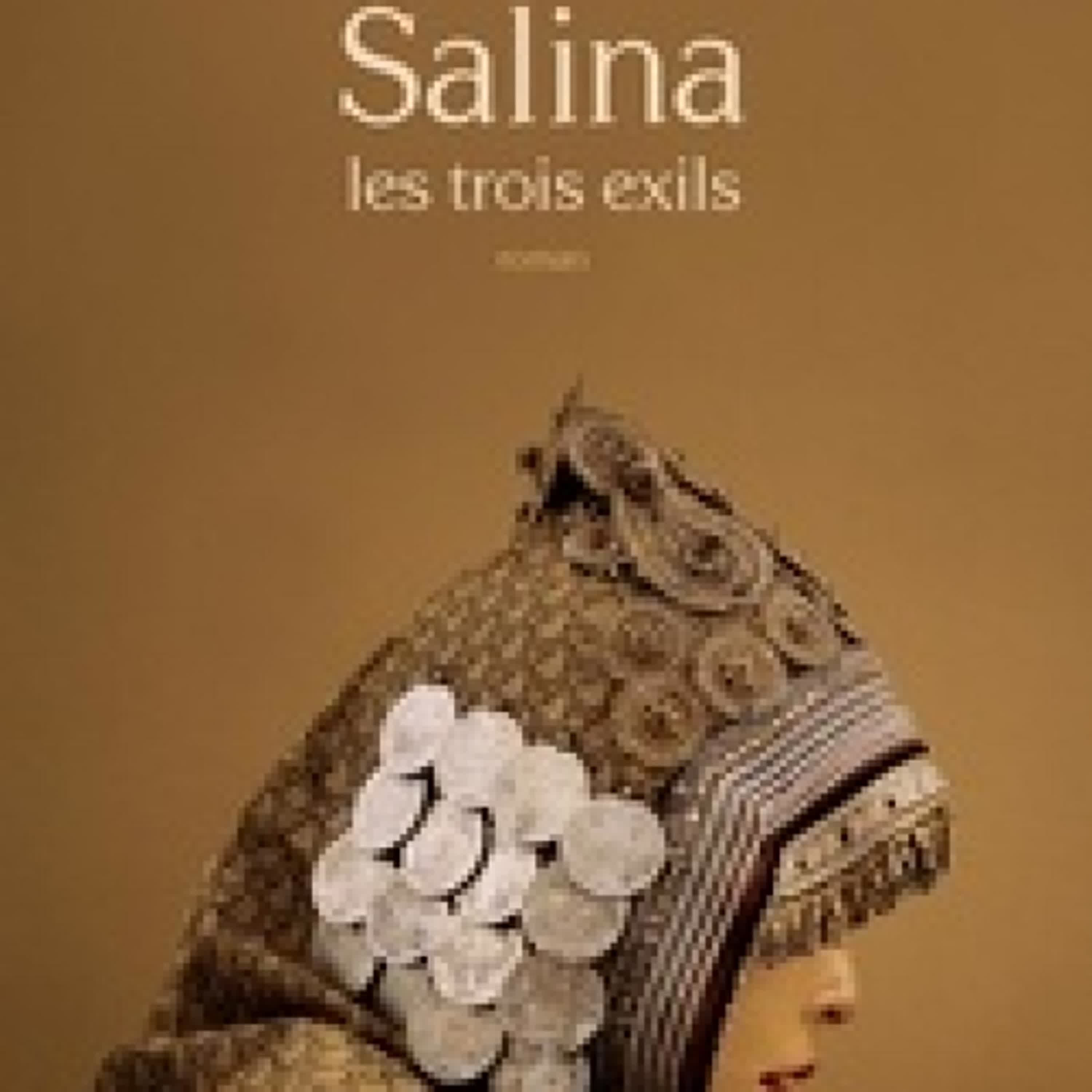 Lire en ligne : Salina  - Les trois exils