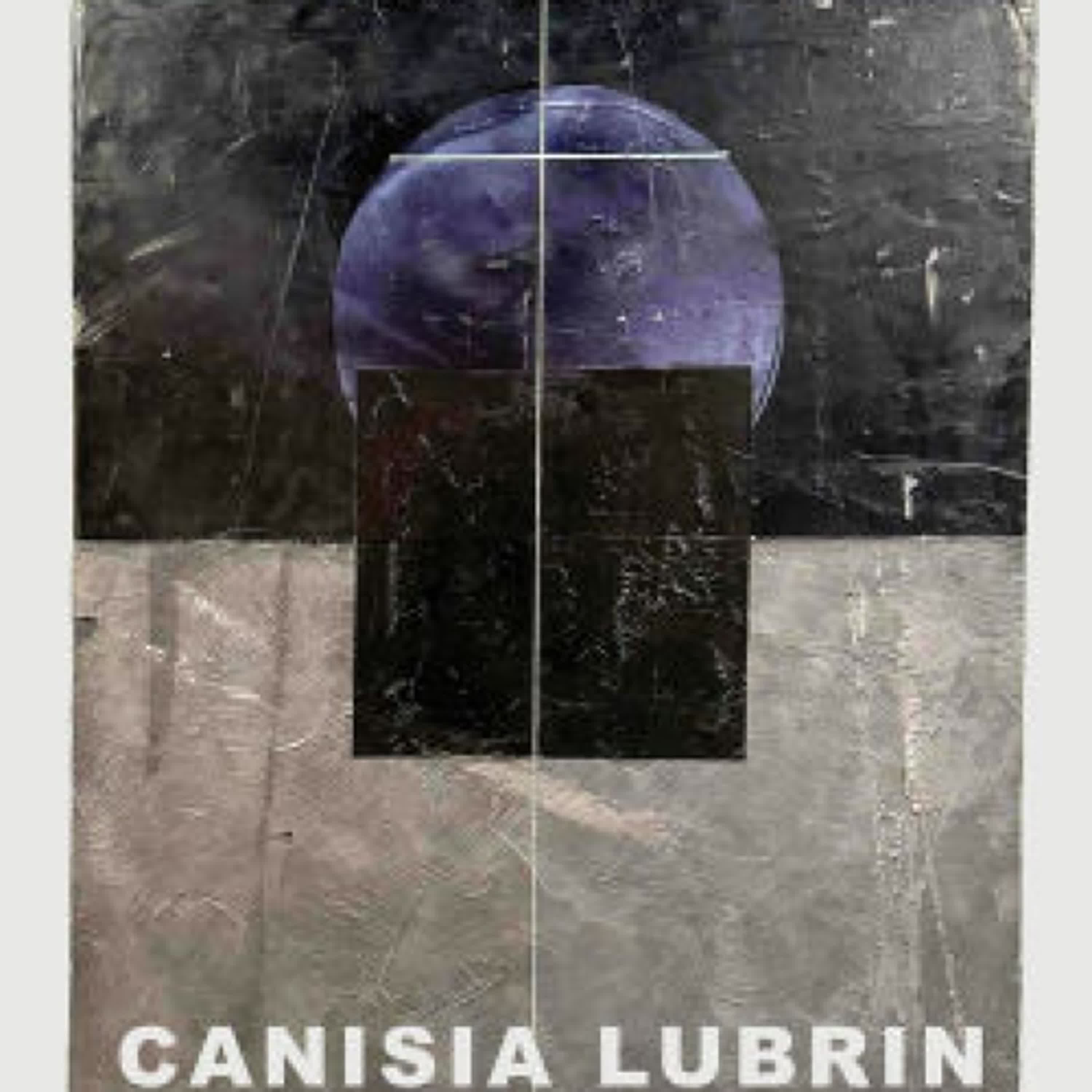 Read online: Code Noir: Fictions by Canisia Lubrin, Christina Sharpe