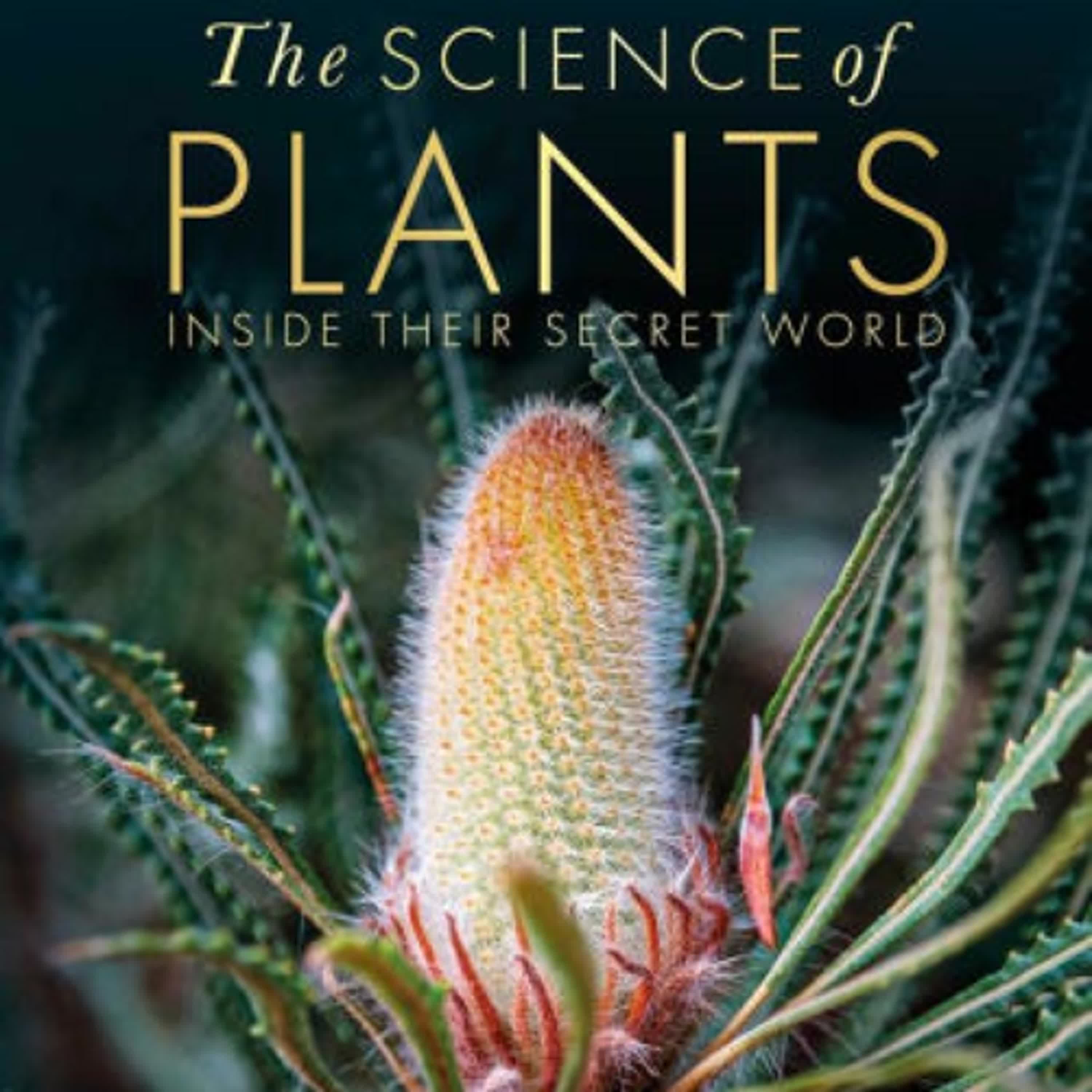 PDF/EPUB Download The Science of Plants: Inside Their Secret World by DK Full Book
