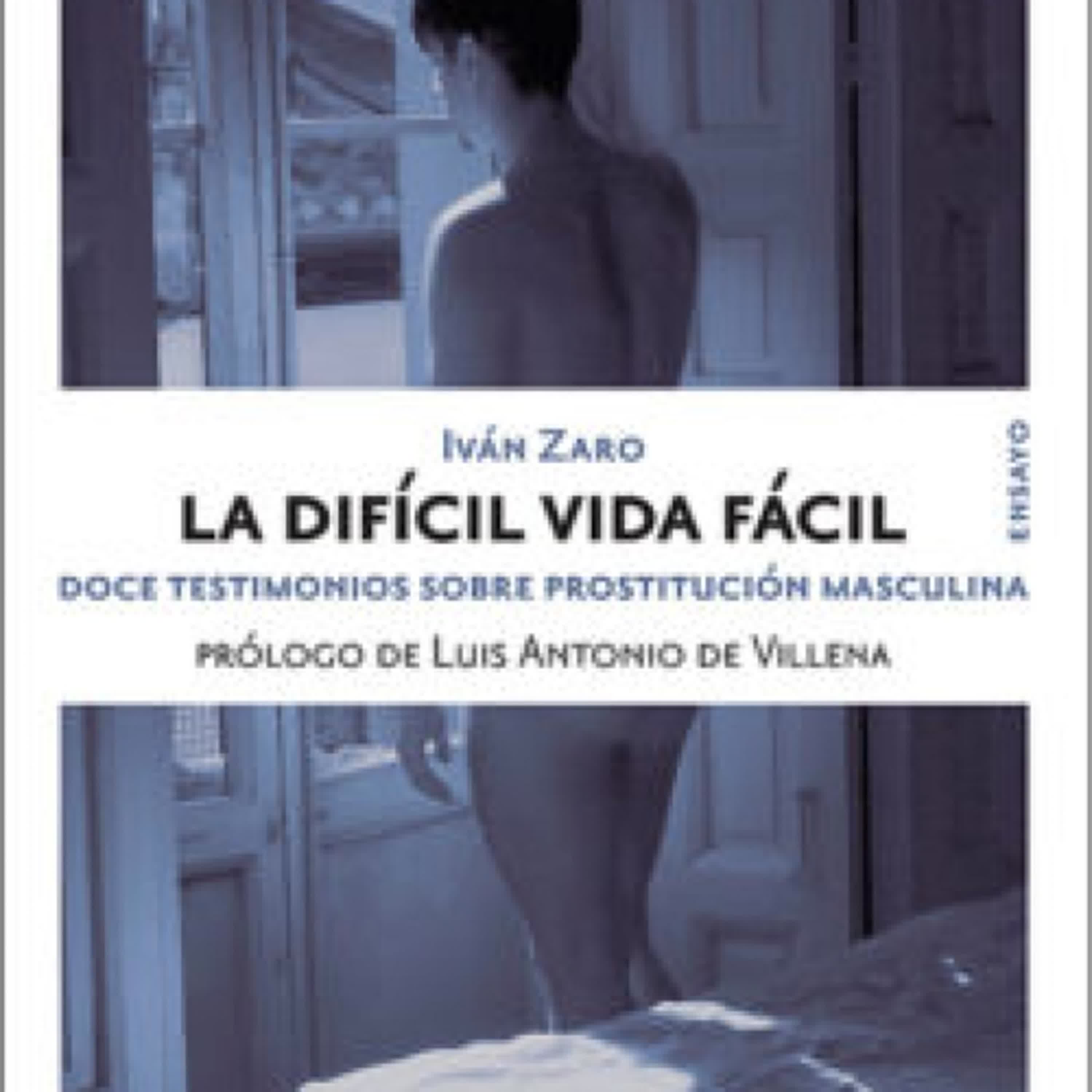 Descargar [PDF] {EPUB} LA DIFICIL VIDA FACIL: DOCE TESTIMONIOS SOBRE PROSTITUCION MASCULINA