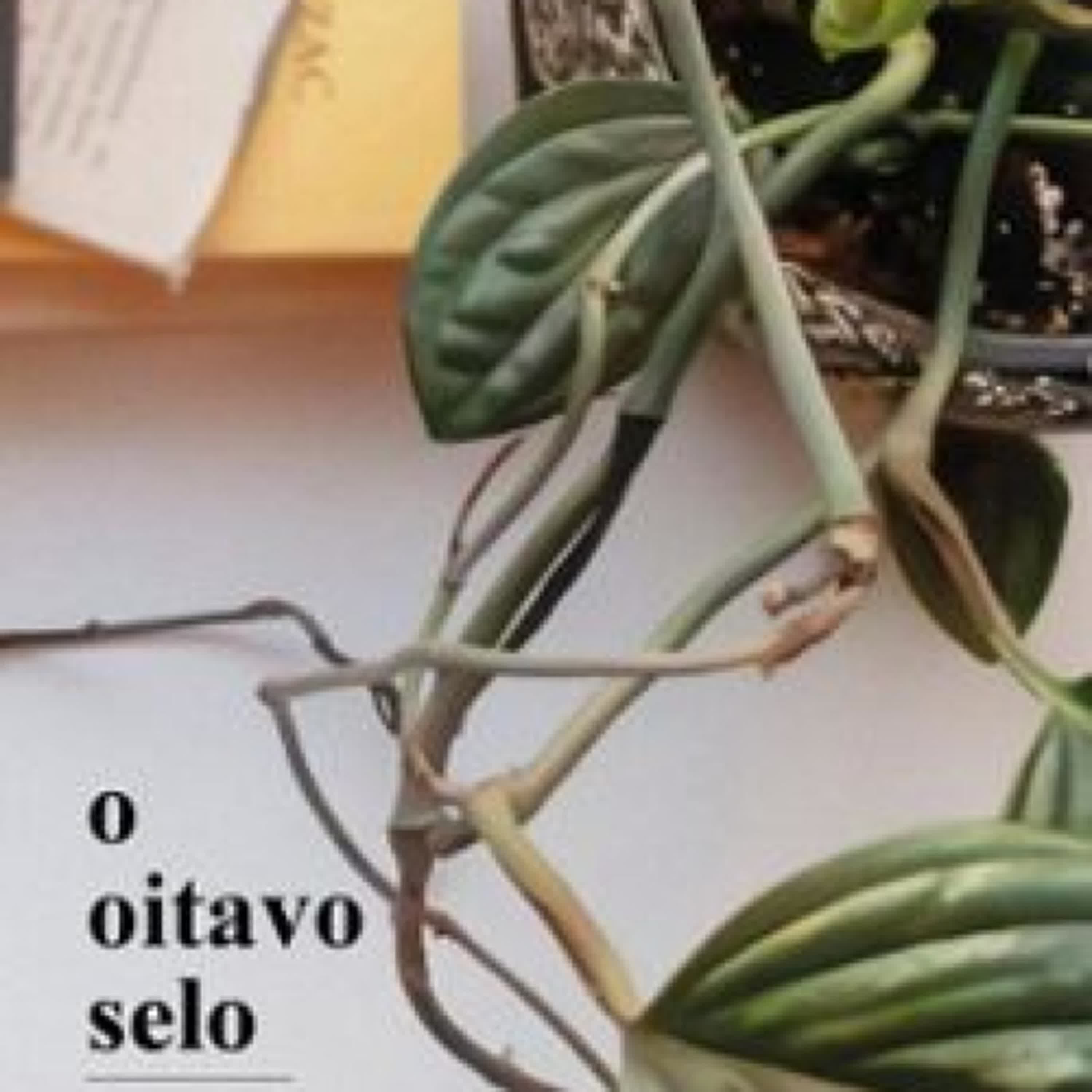 O OITAVO SELO leer el libro pdf