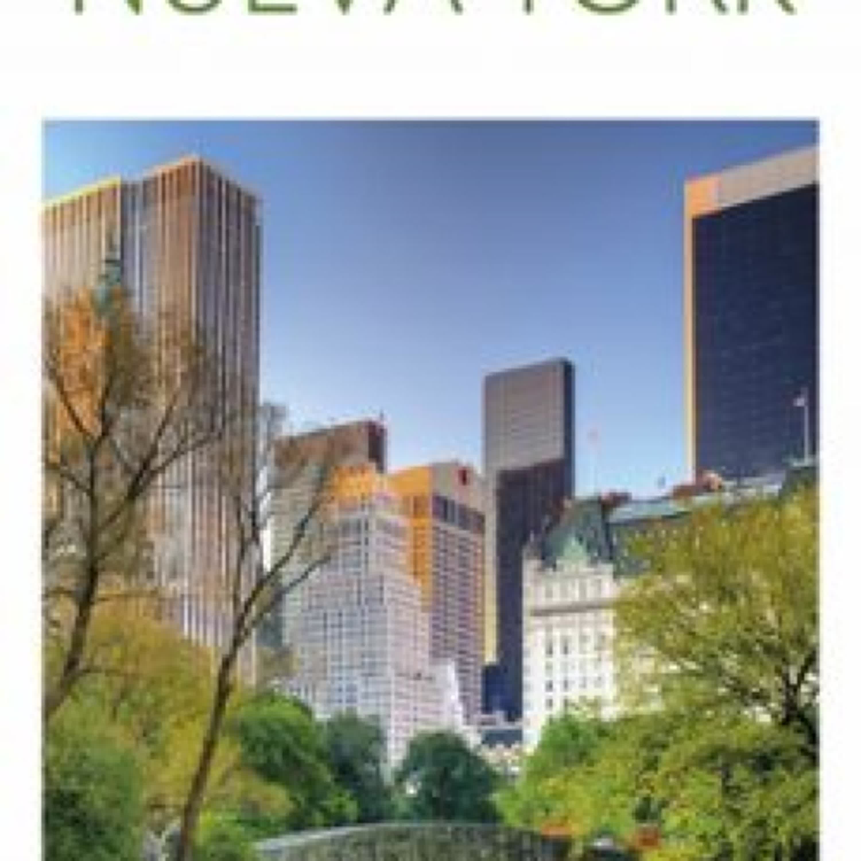 NUEVA YORK (GUÍAS VISUALES TOP 10) leer el libro
