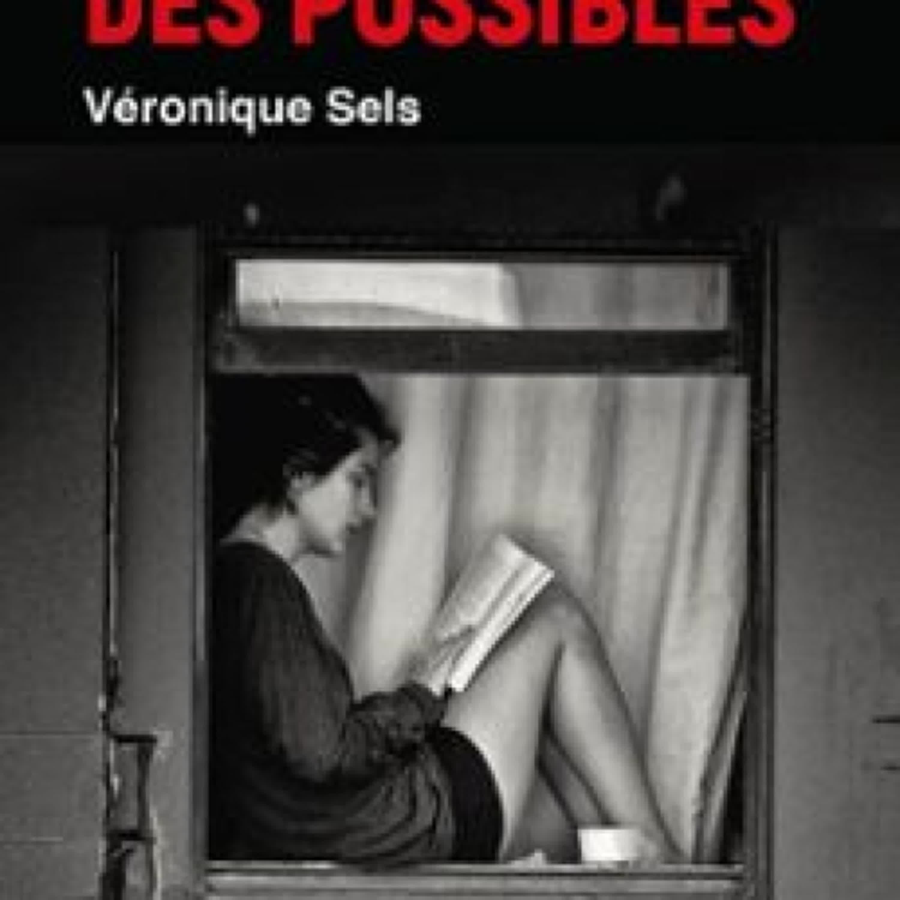 Descargar PDF LE LIVRE DES POSSIBLES