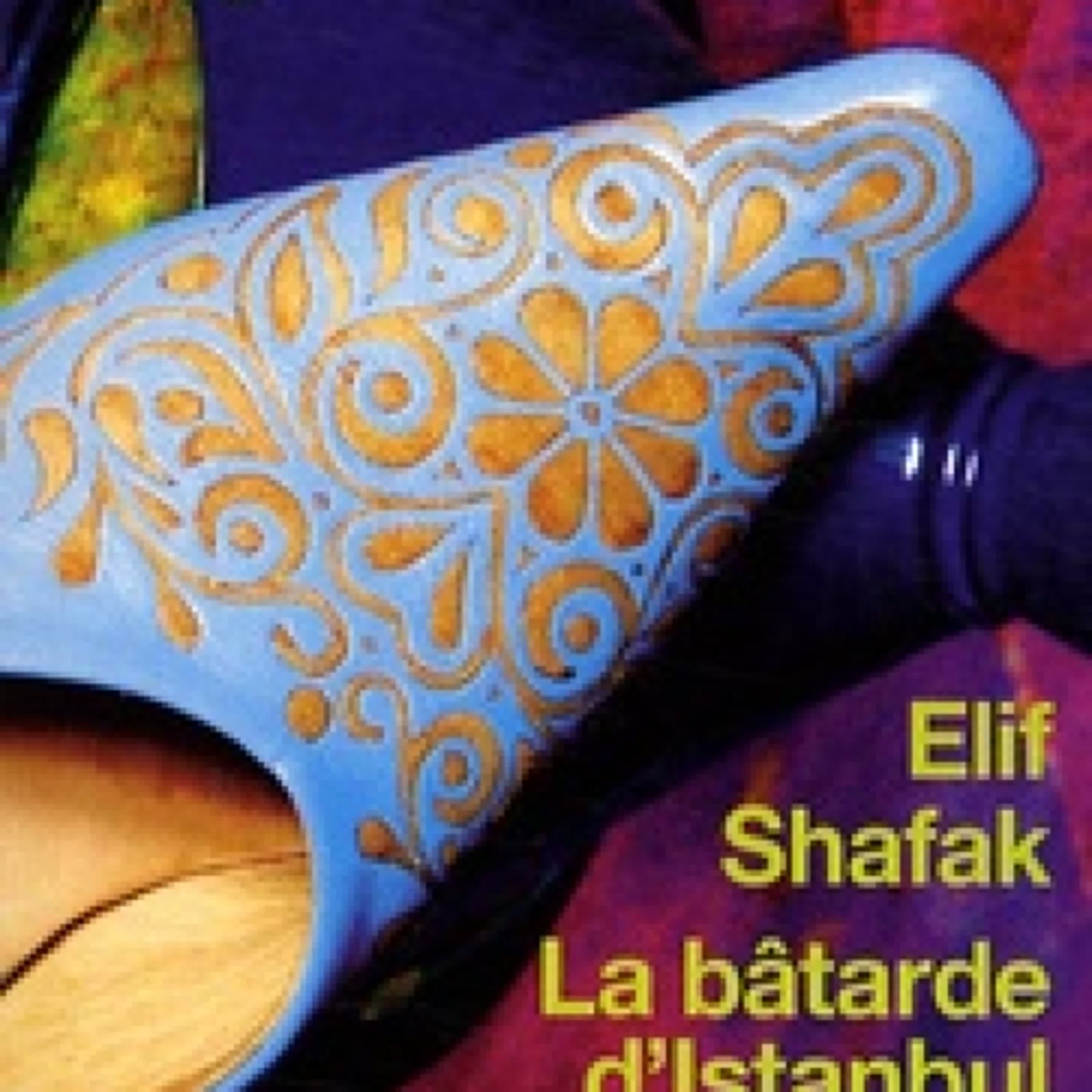 {téléchargement pdf} La bâtarde d'Istanbul