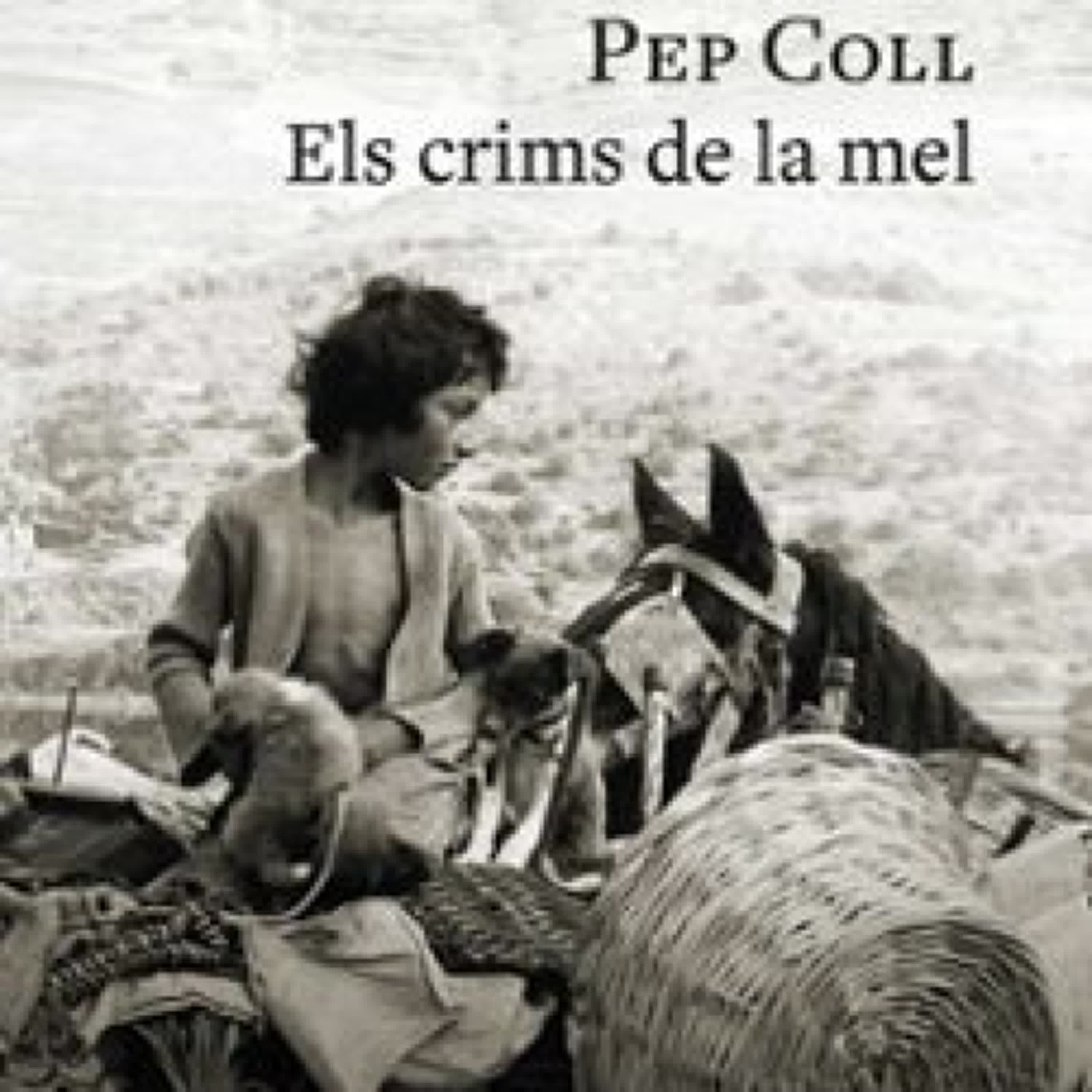 ELS CRIMS DE LA MEL PEP COLL ePub gratis