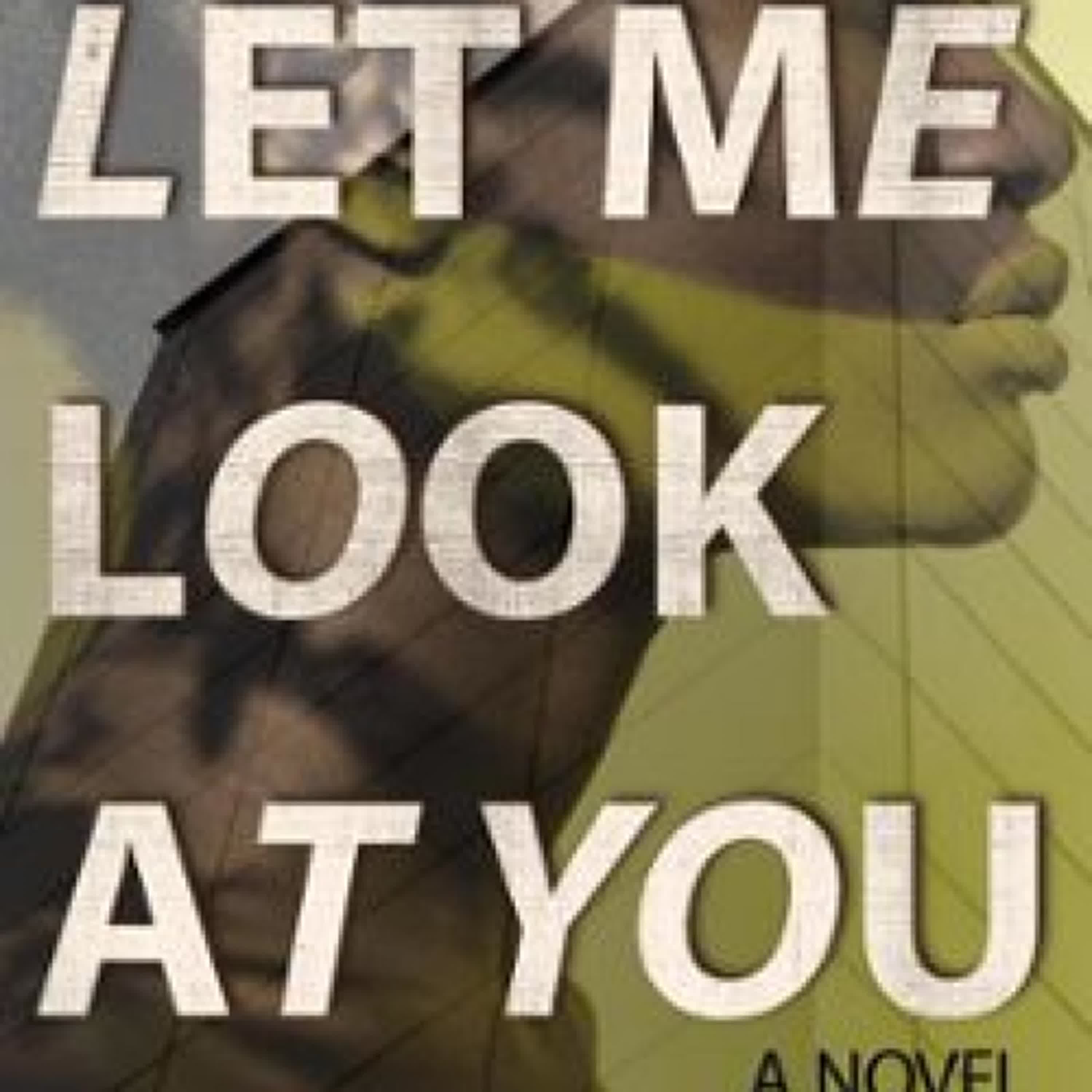 LET ME LOOK AT YOU leer epub MICHAEL J. WILSON