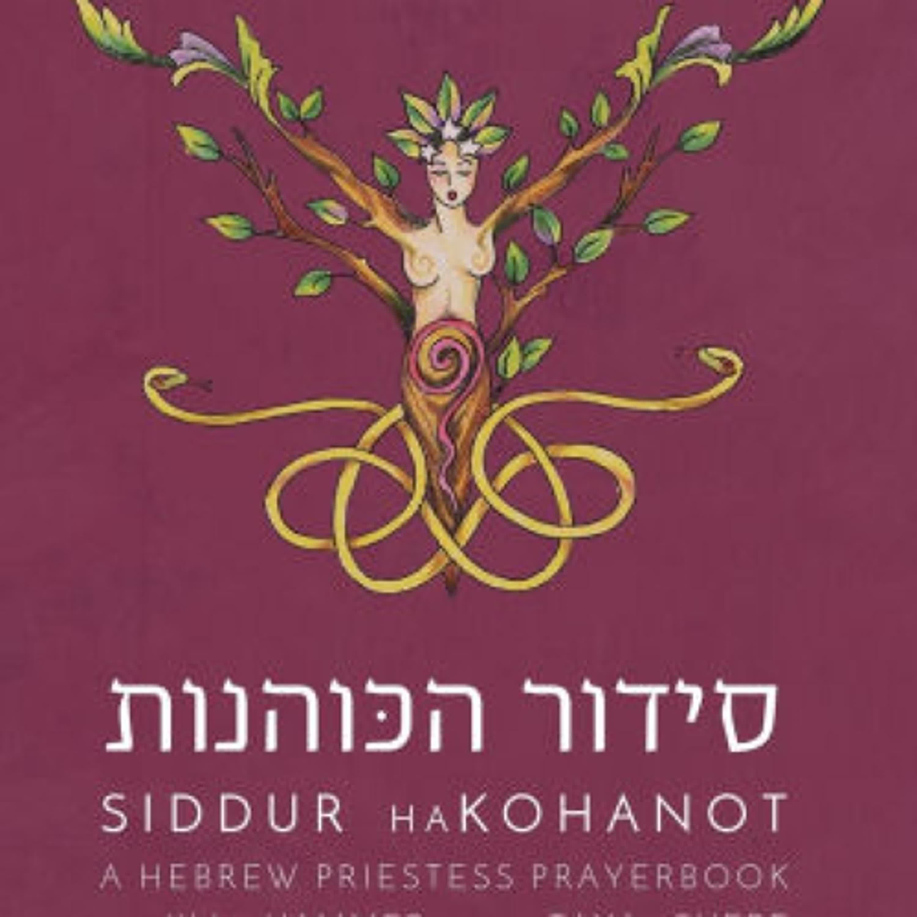 Download PDF Siddur HaKohanot: A Hebrew Priestess Prayerbook by Jill Hammer