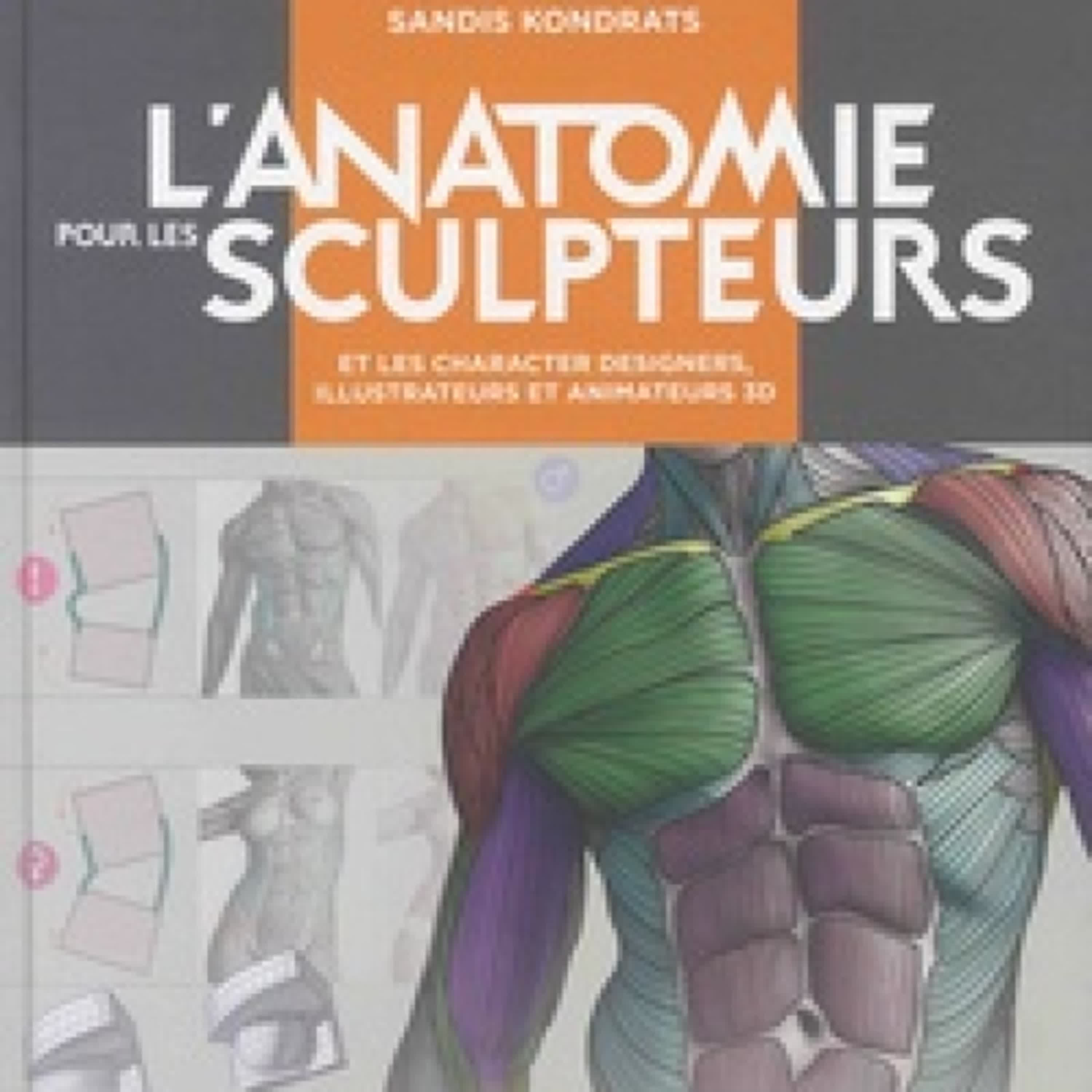 Lire en ligne : L'anatomie pour les sculpteurs et les character designers, illustrateurs et animateurs 3D