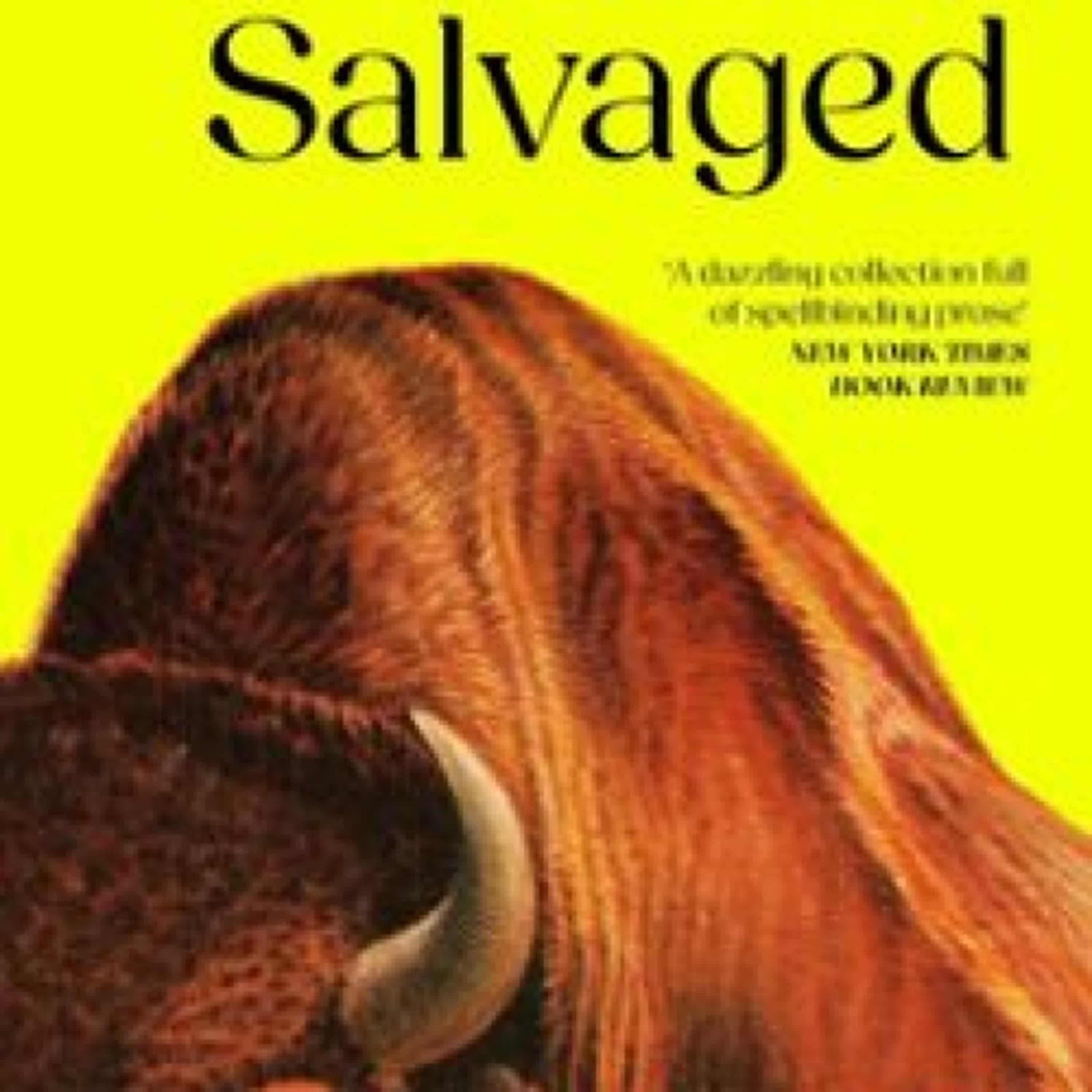 [Kindle] THIS IS SALVAGED descargar gratis