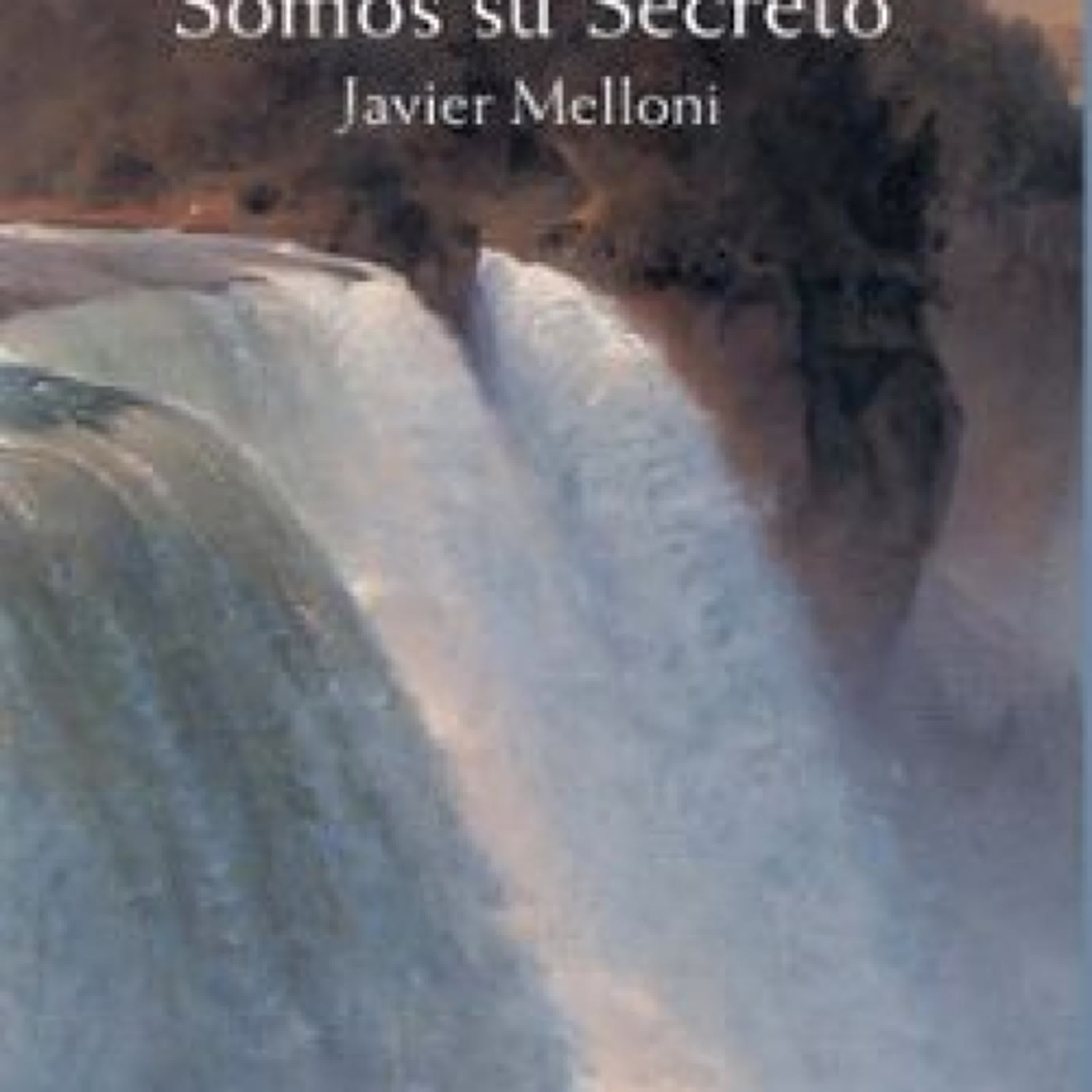 SOMOS SU SECRETO leer epub gratis