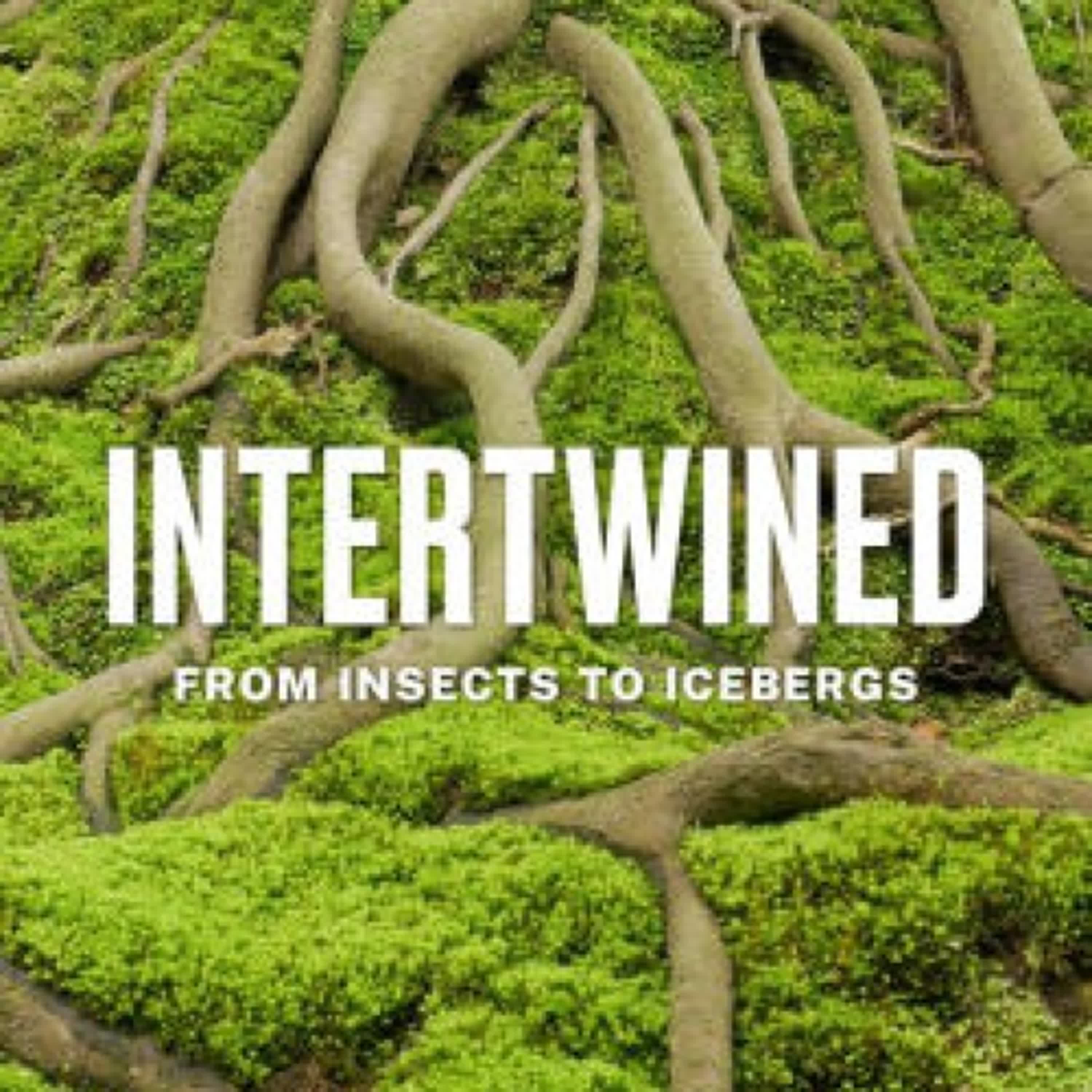 {epub download} Intertwined: From Insects to Icebergs by Michael Gross