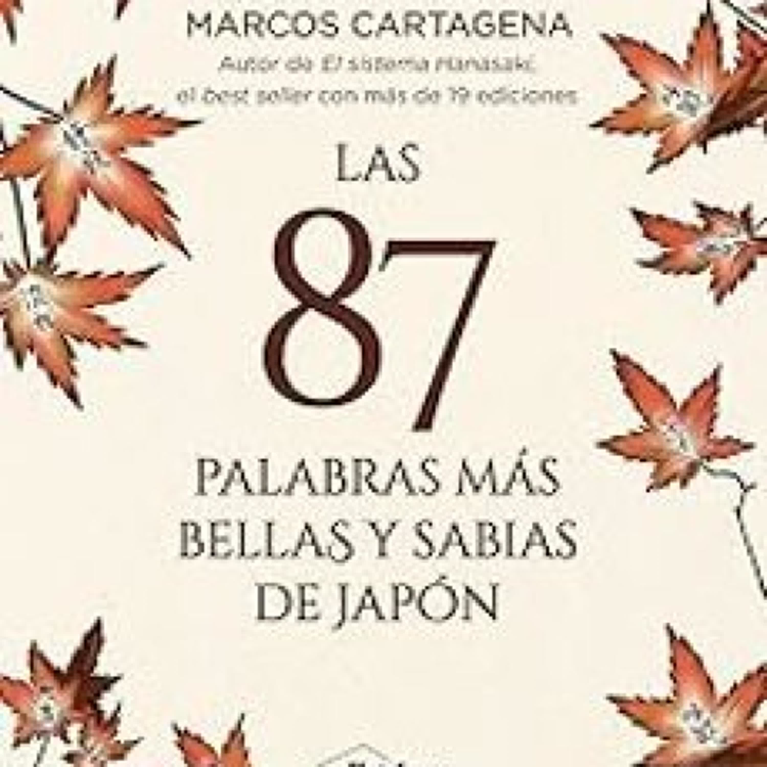 LAS 87 PALABRAS MÁS BELLAS Y SABIAS DE JAPÓN leer epub gratis