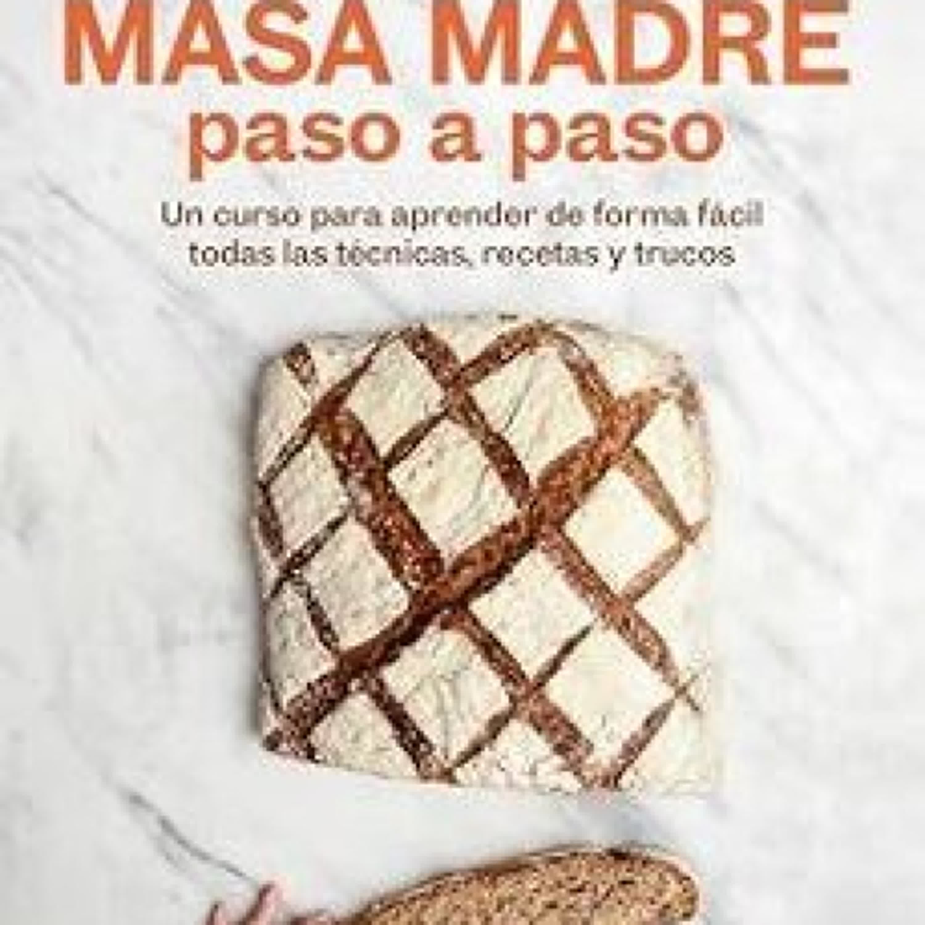 MASA MADRE PASO A PASO leer el libro pdf