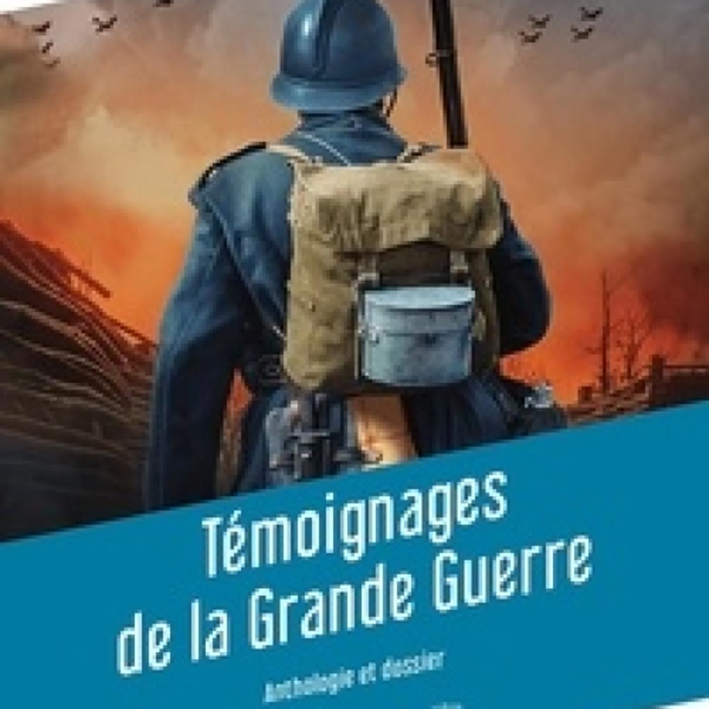 [Kindle] Témoignages de la Grande guerre téléchargement