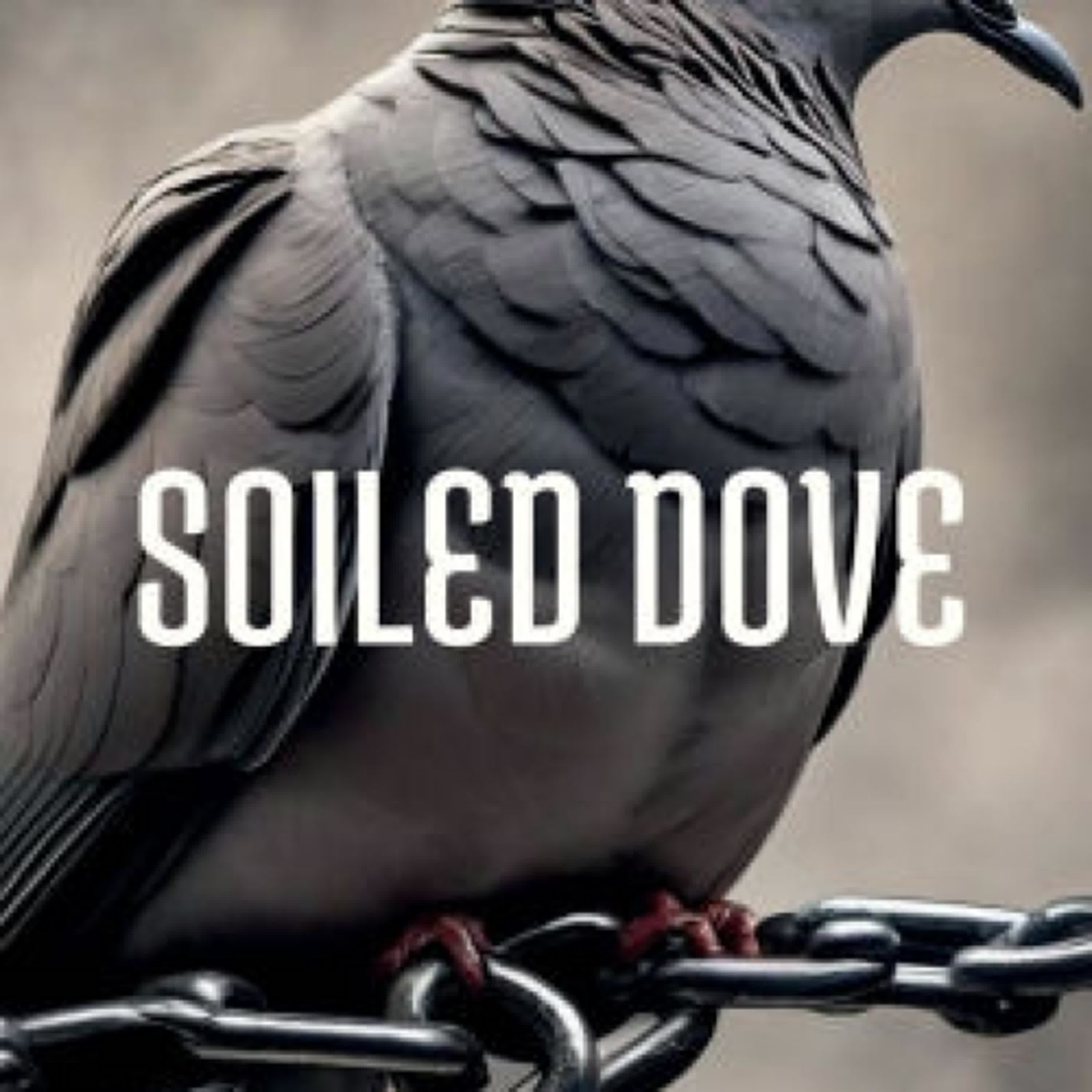 PDF [Download] Soiled Dove by April Timms