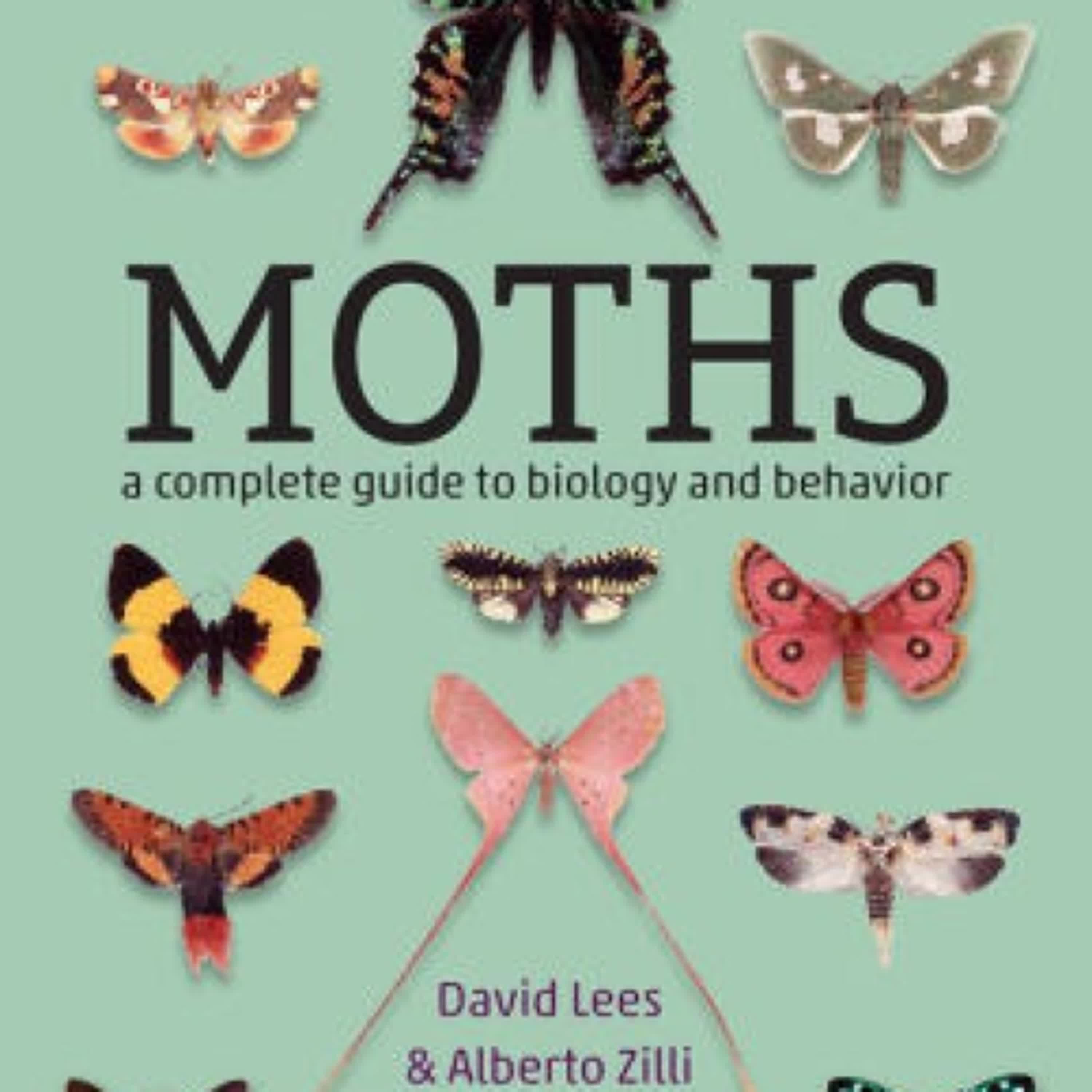 Moths: A Complete Guide to Biology and Behavior by David Lees, Alberto Zilli on Iphone New Format