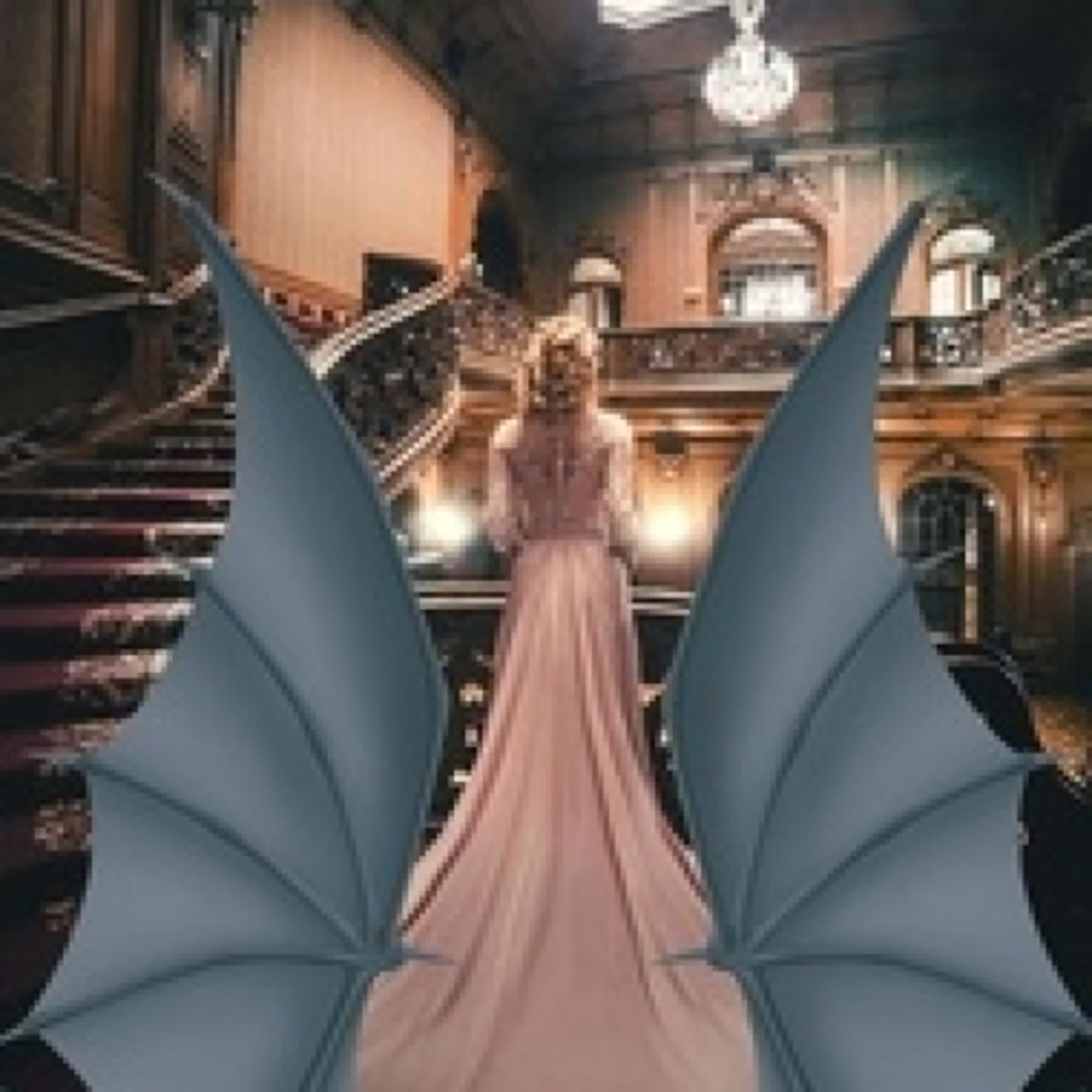 Télécharger PDF Opera with my Gargoyle - Monster Erotica Short Stories