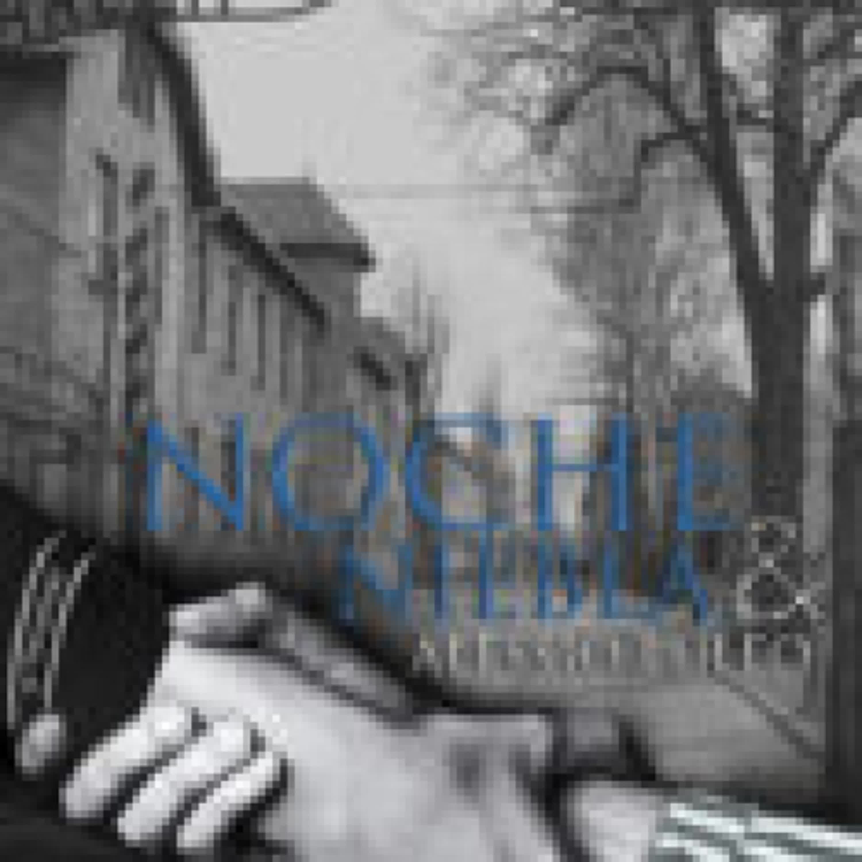 [Descargar pdf] NOCHE Y NIEBLA