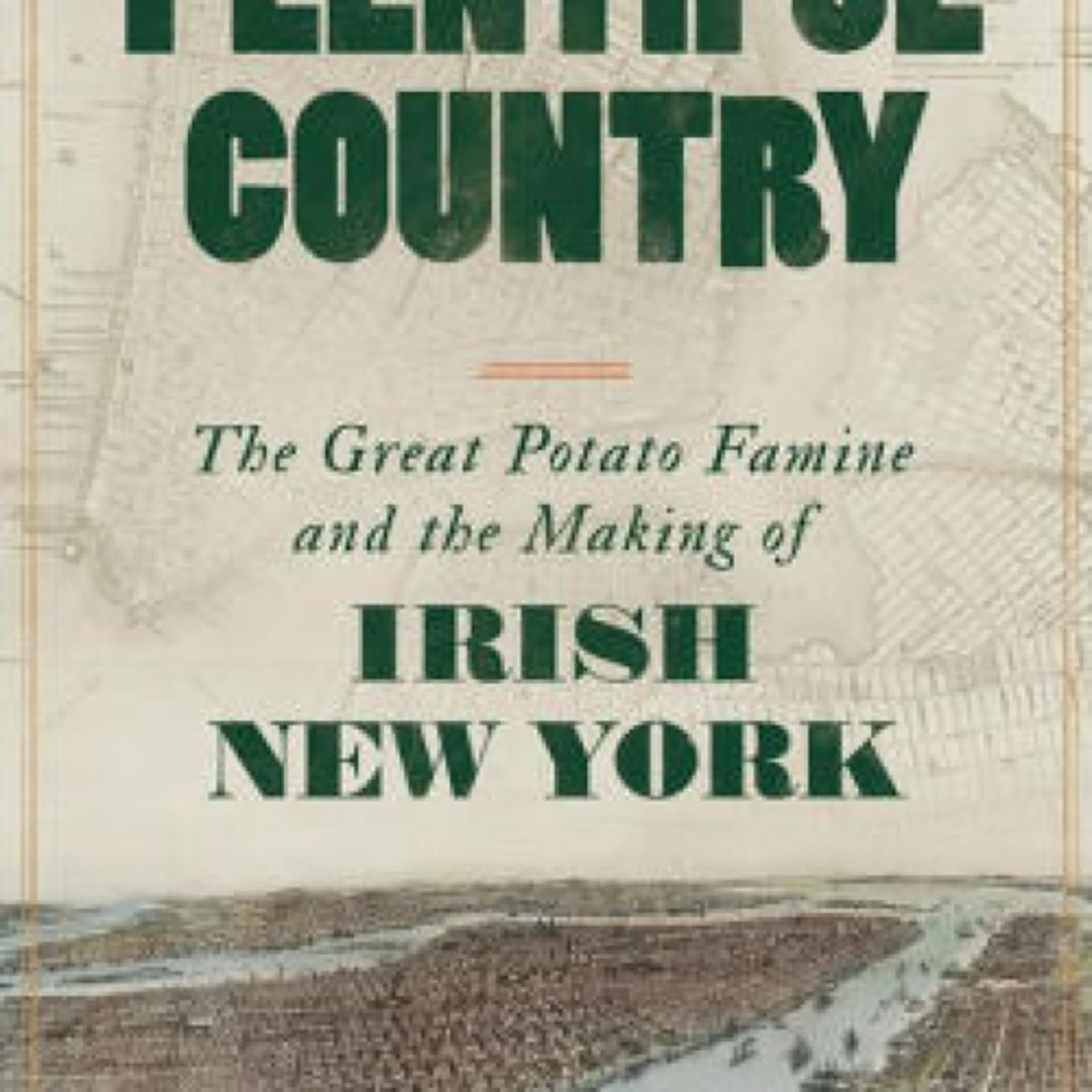 Plentiful Country: The Great Potato Famine and the Making of Irish New York by Tyler Anbinder on Audiobook New