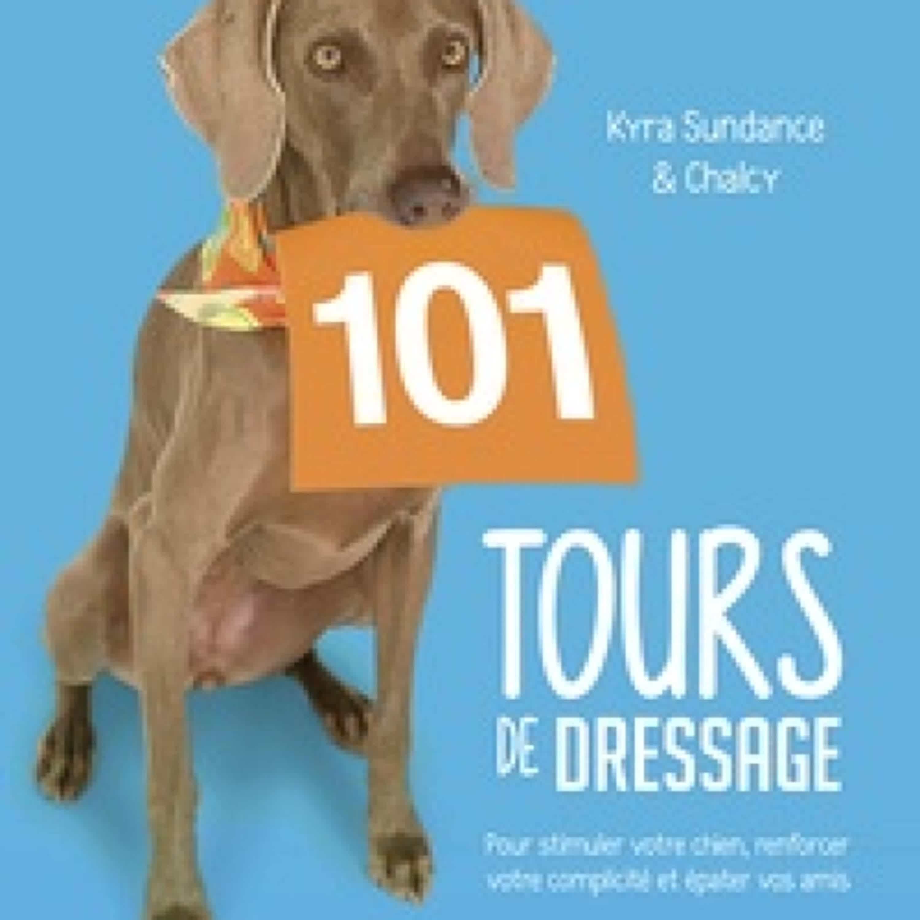 {téléchargement pdf} 101 tours de dressage  - Pour stimuler votre chien, renforcer votre complicité et épater vos amis